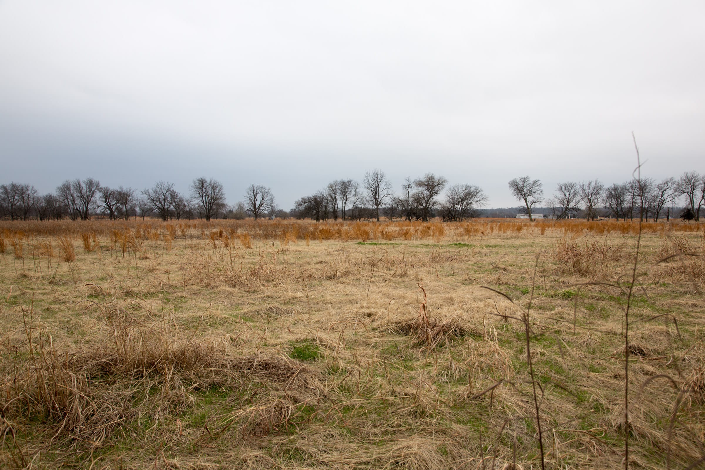 Canadian Plains Tract 22 photo 6