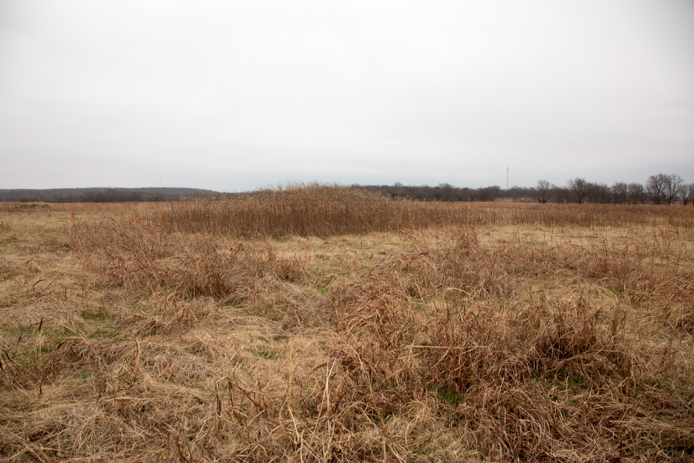 Canadian Plains Tract 22 photo 7