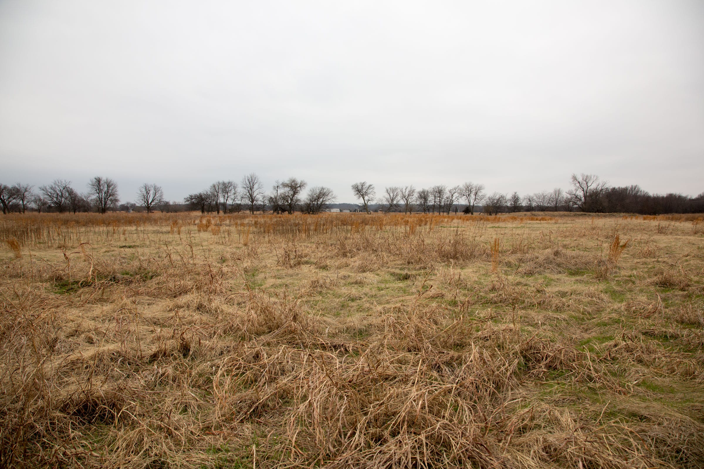 Canadian Plains Tract 22 photo 8