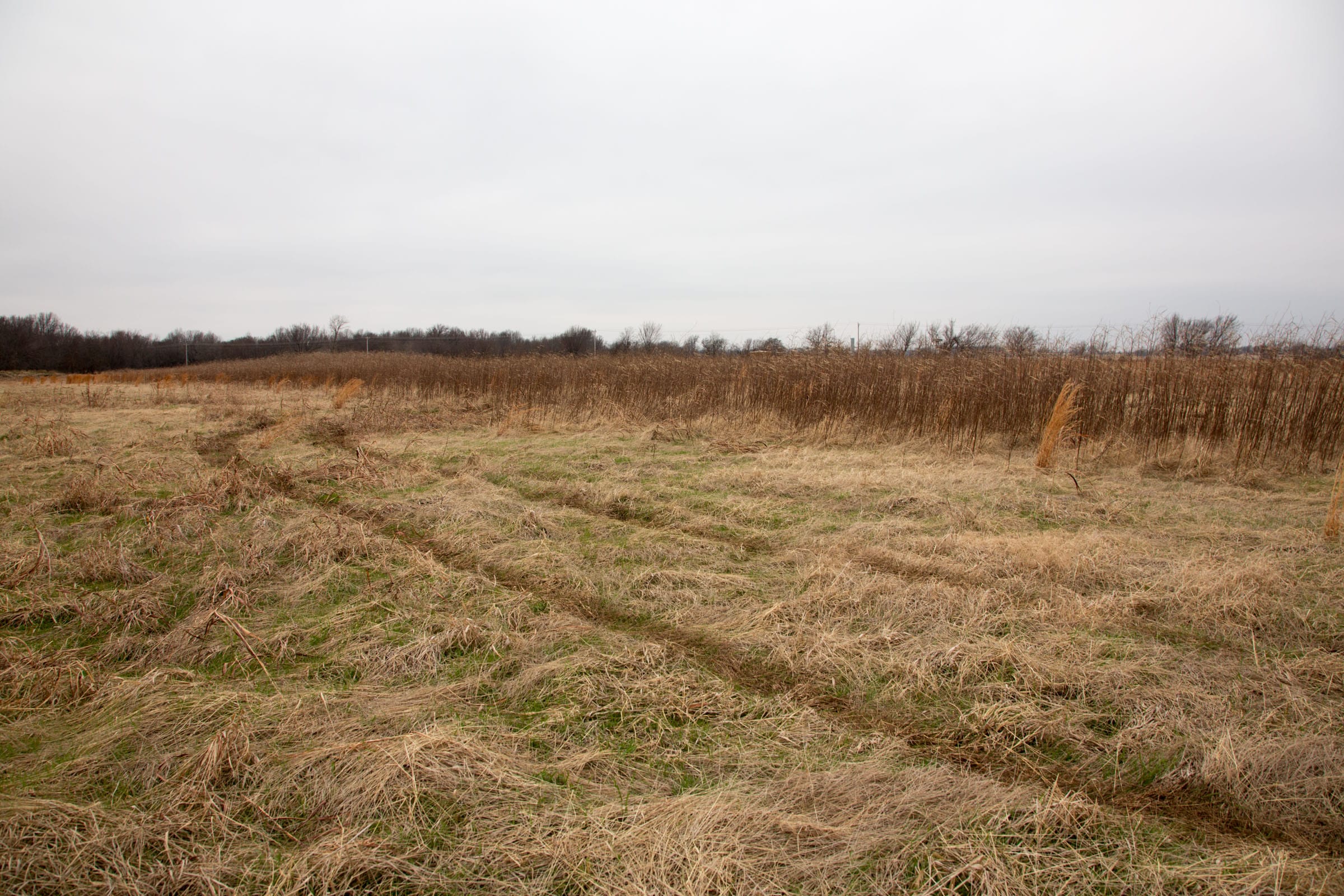 Canadian Plains Tract 22 photo 9