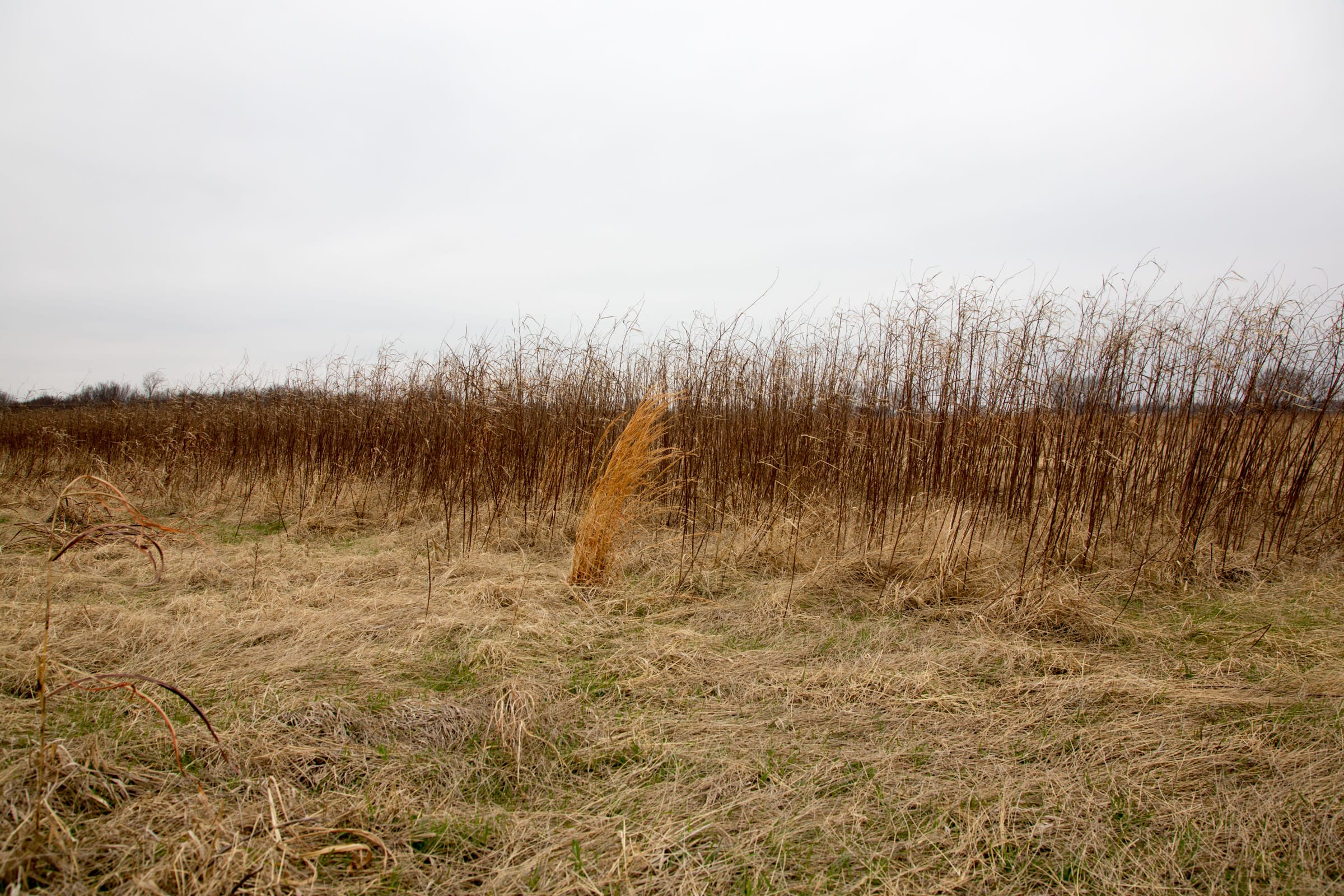 Canadian Plains Tract 22 photo 10