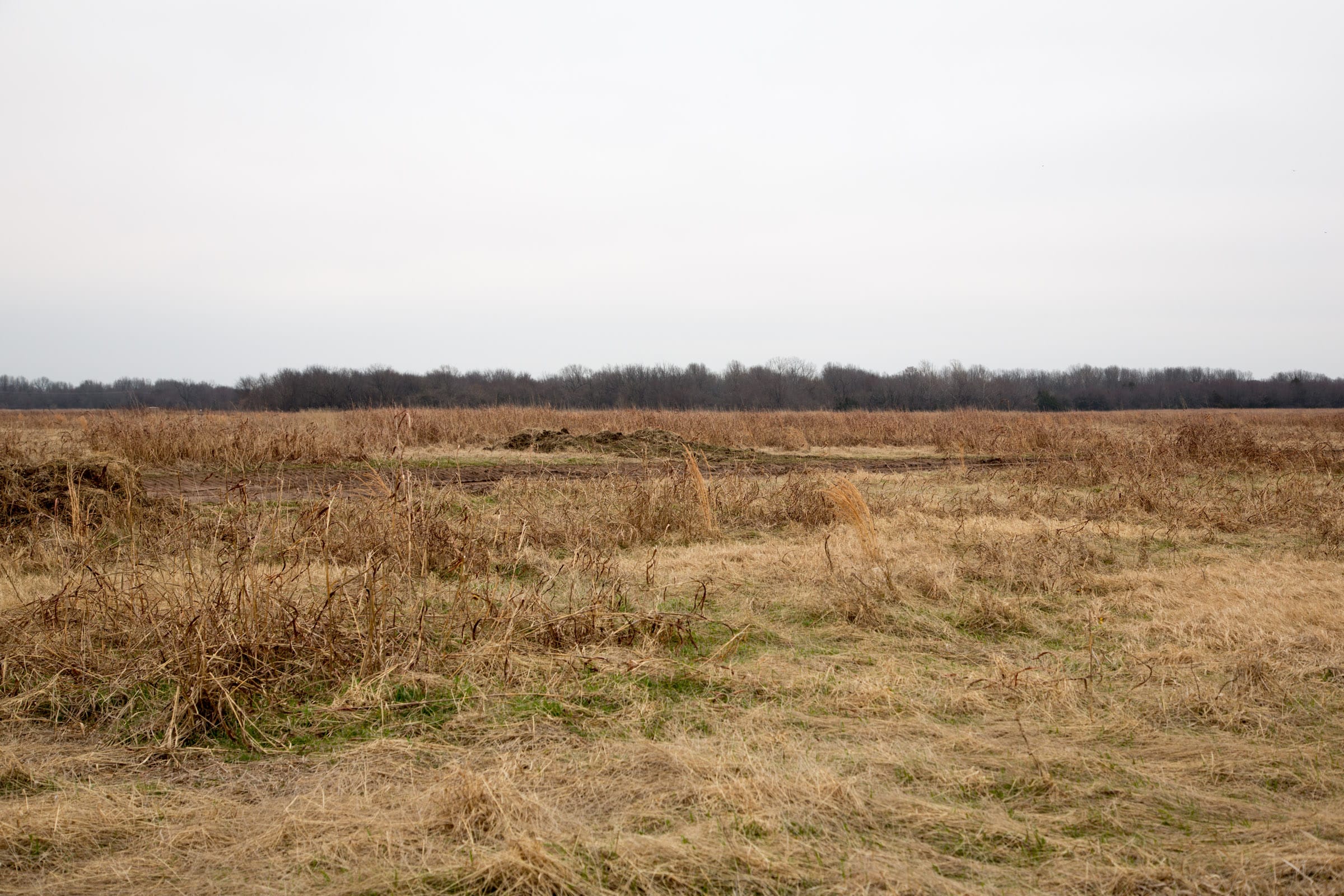 Canadian Plains Tract 22 photo 11