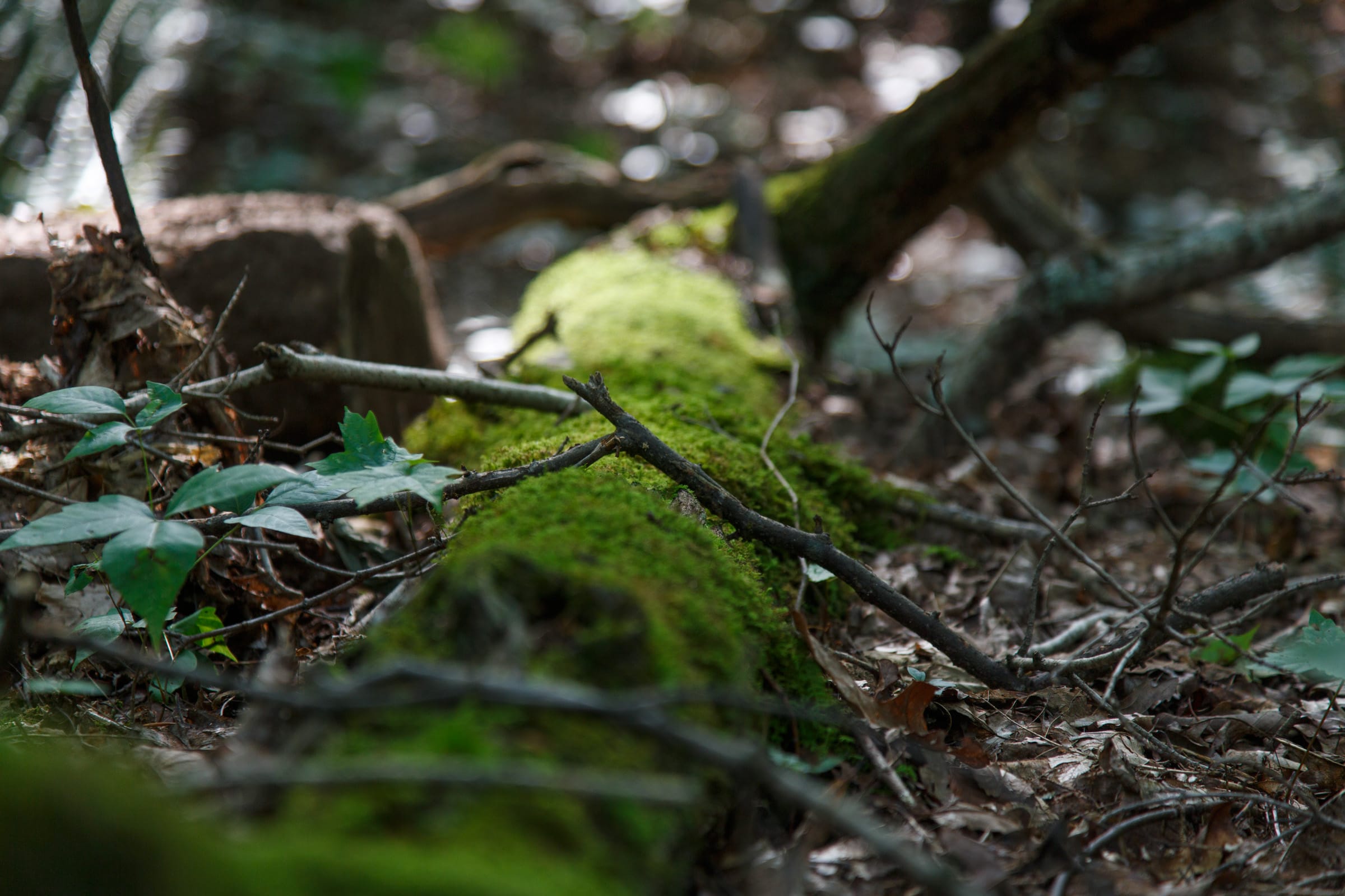 Rolling Hills Tract 8 photo 3