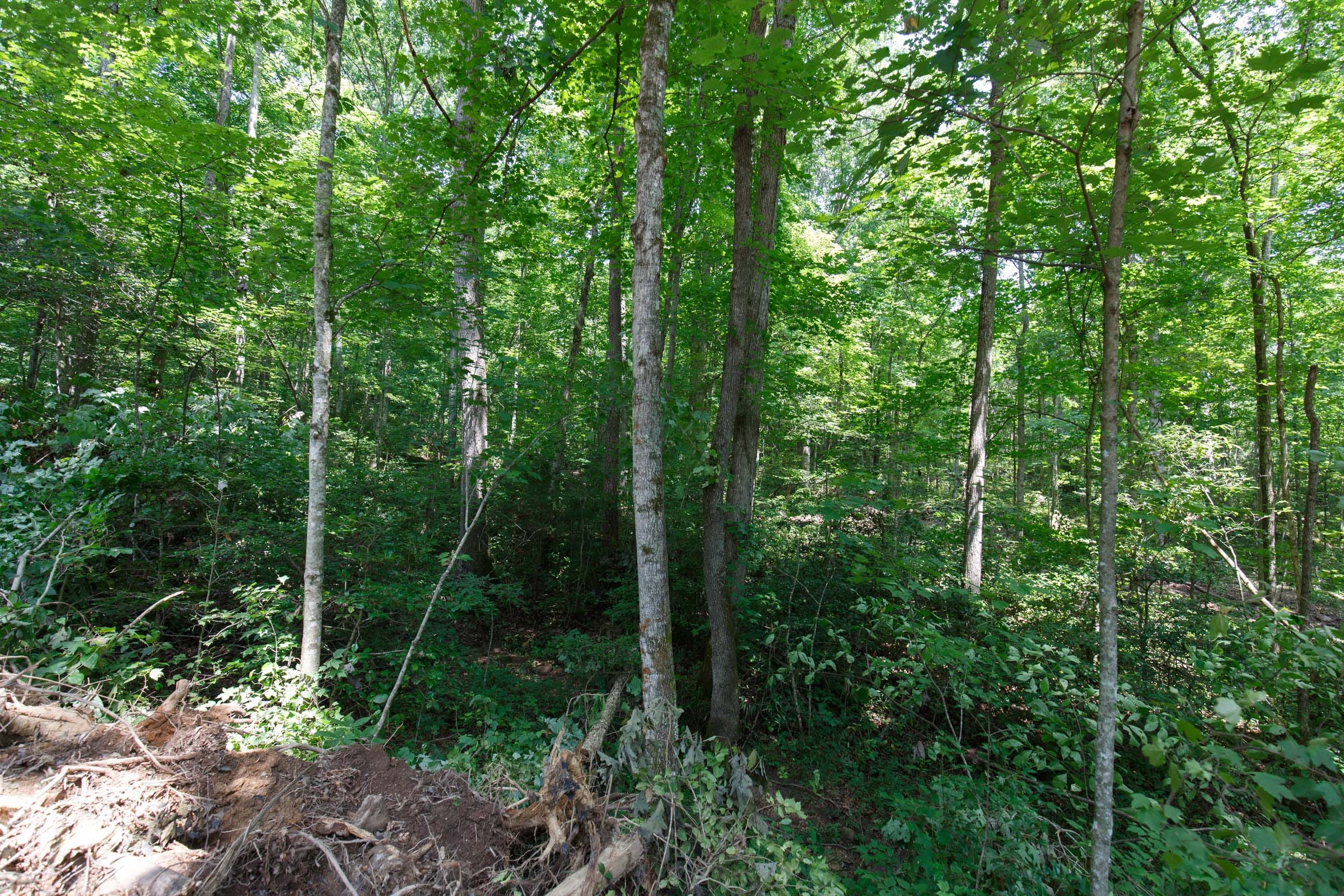 Rolling Hills Tract 8 photo 7