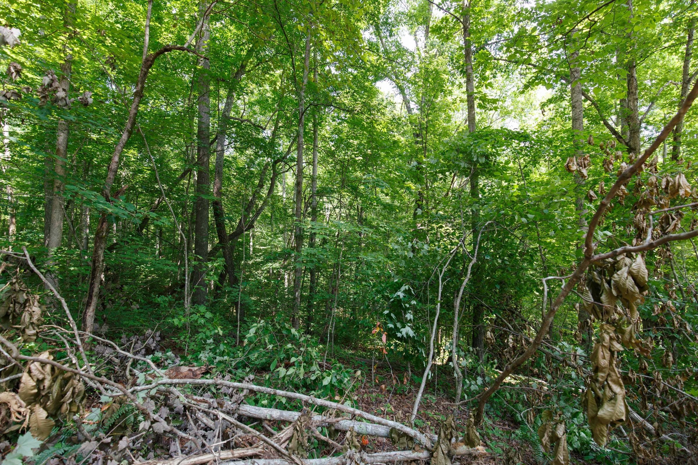 Rolling Hills Tract 8 photo 9