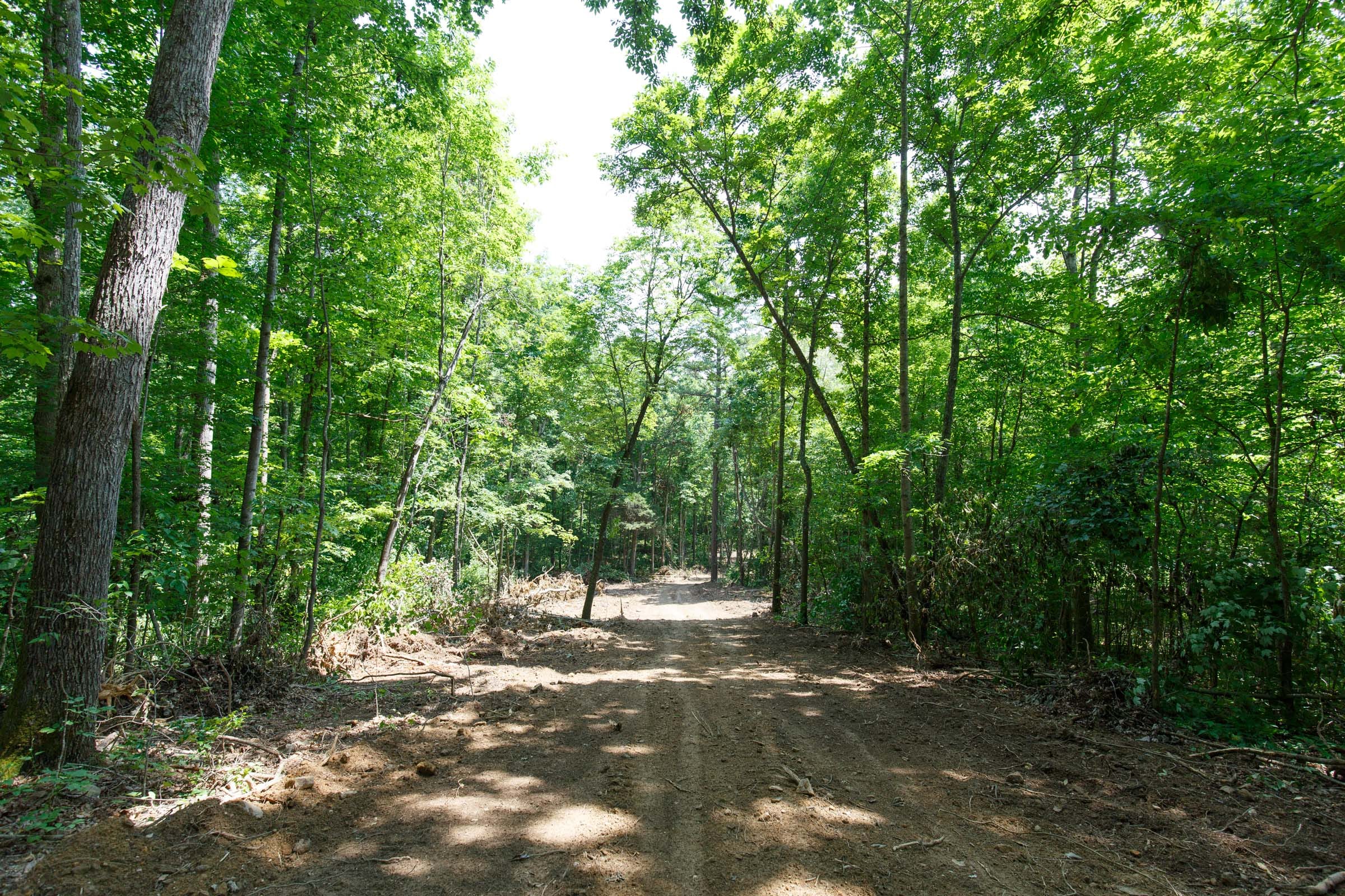 Rolling Hills Tract 8 photo 8