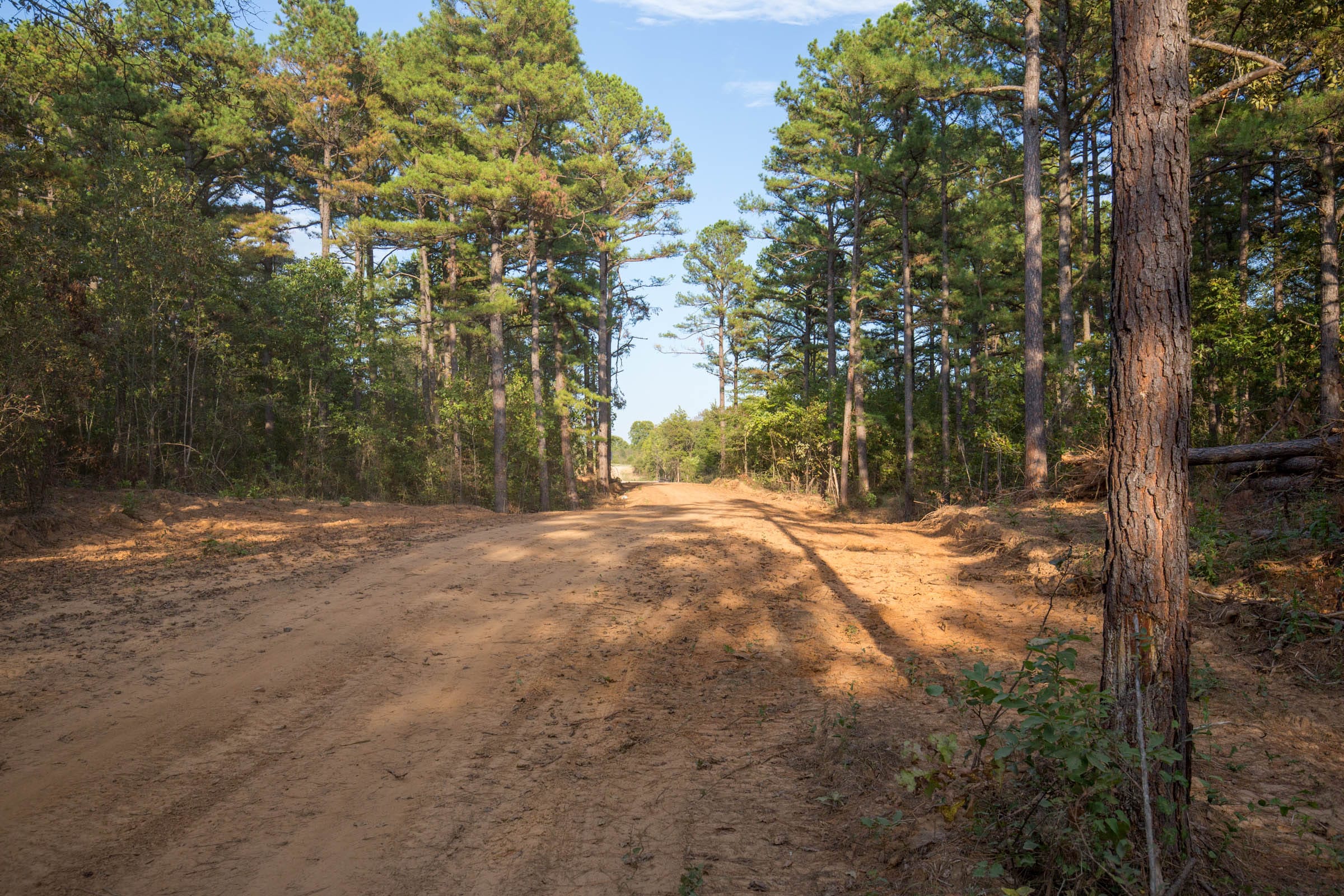 Stone Bridge Phase I Tract 17 photo 5