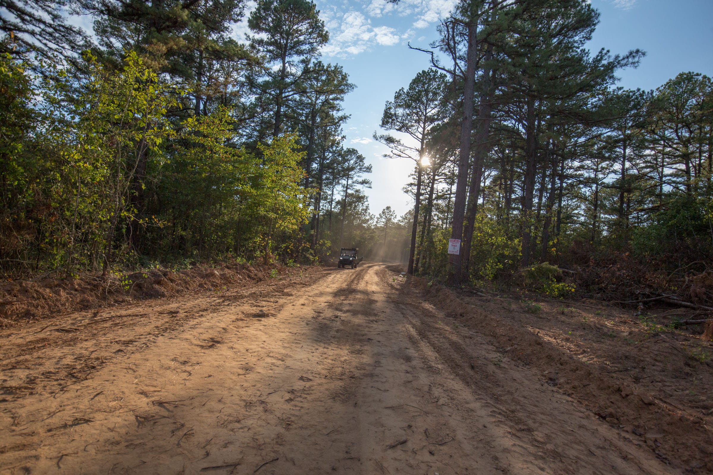 Stone Bridge Phase I Tract 17 photo 7
