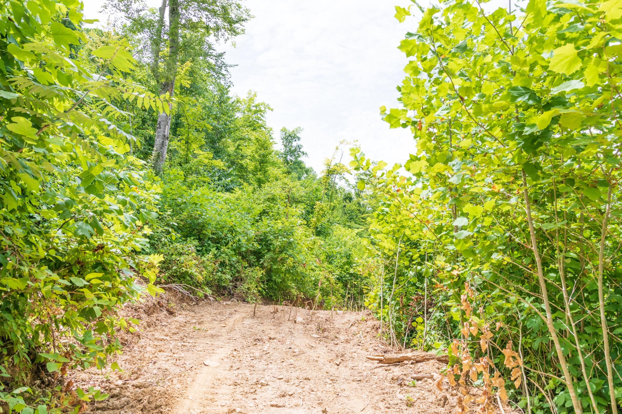 River’s Edge Tract 26 photo 1