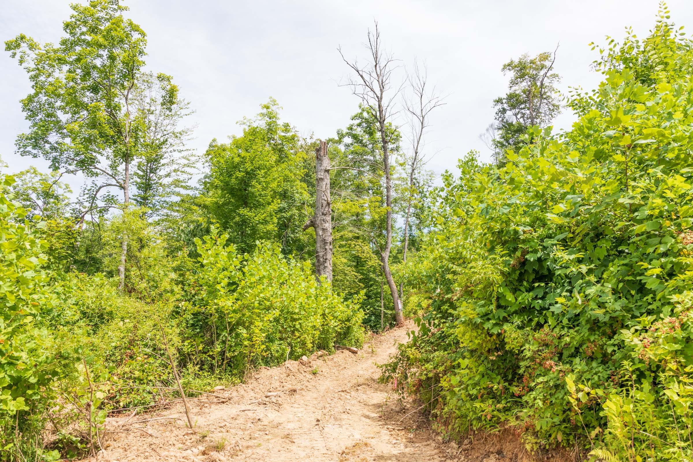 River’s Edge Tract 26 photo 3