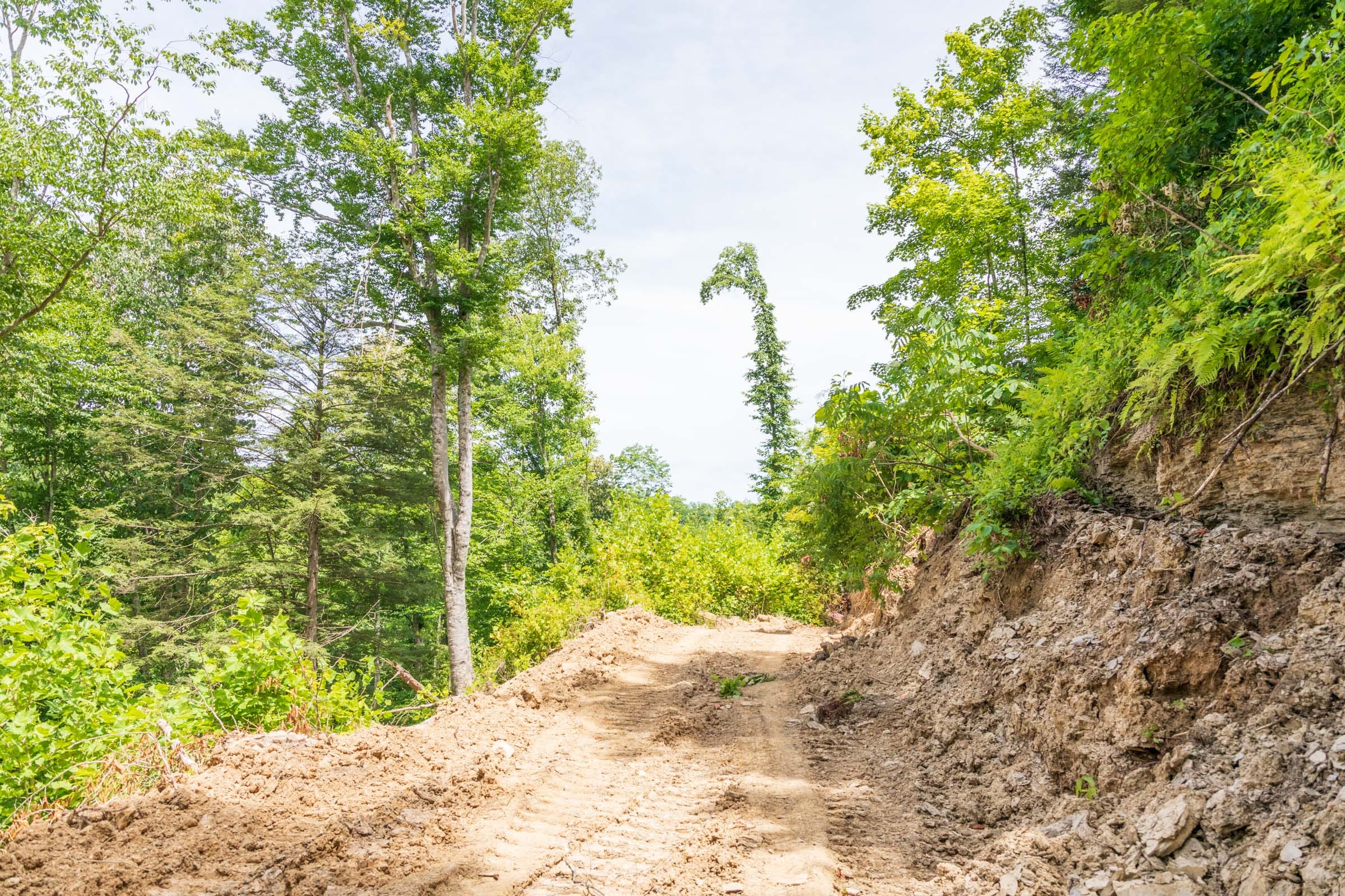 River’s Edge Tract 26 photo 7