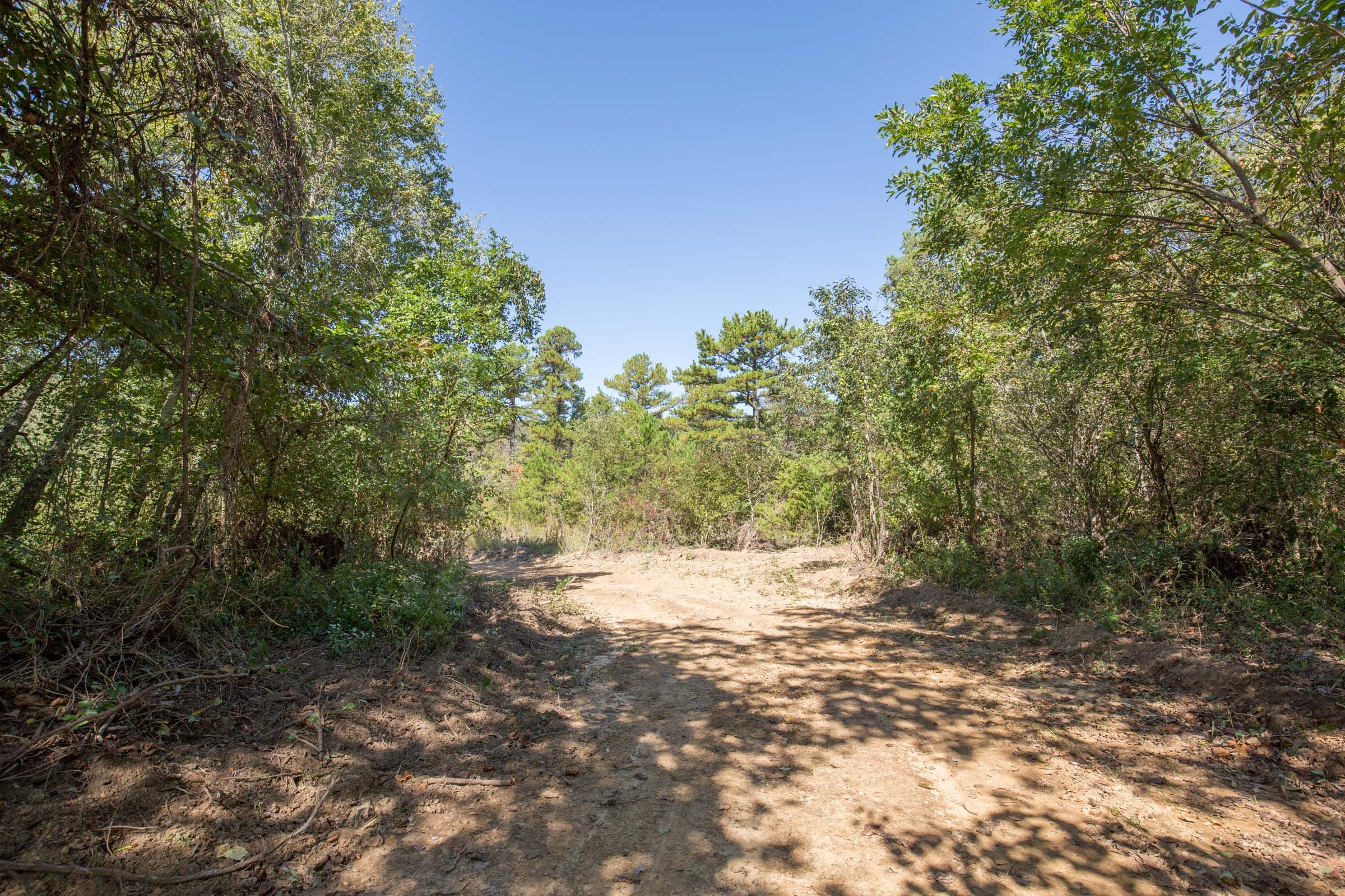 Stone Bridge Phase I Tract 19 photo 8