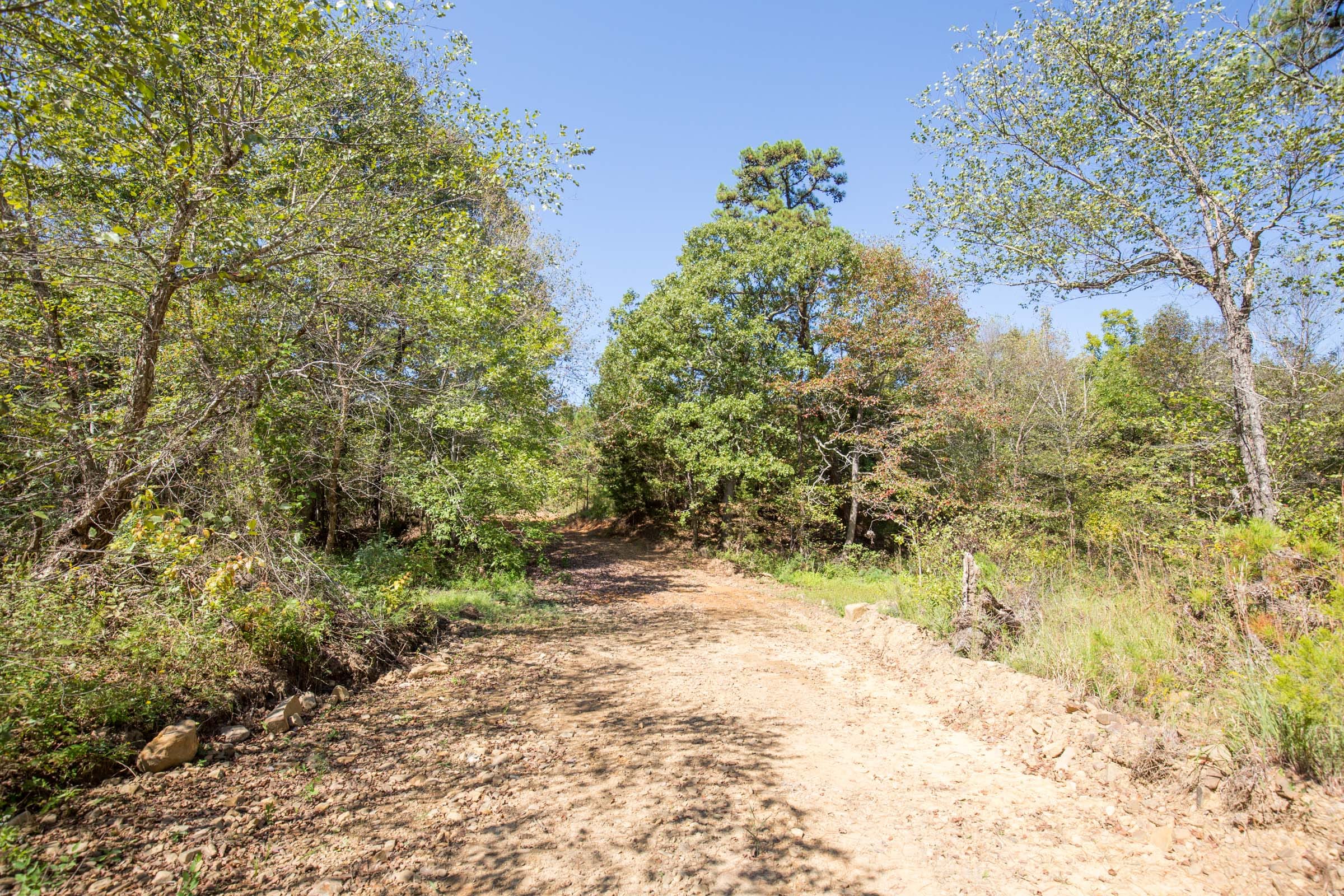 Stone Bridge Phase I Tract 19 photo 14