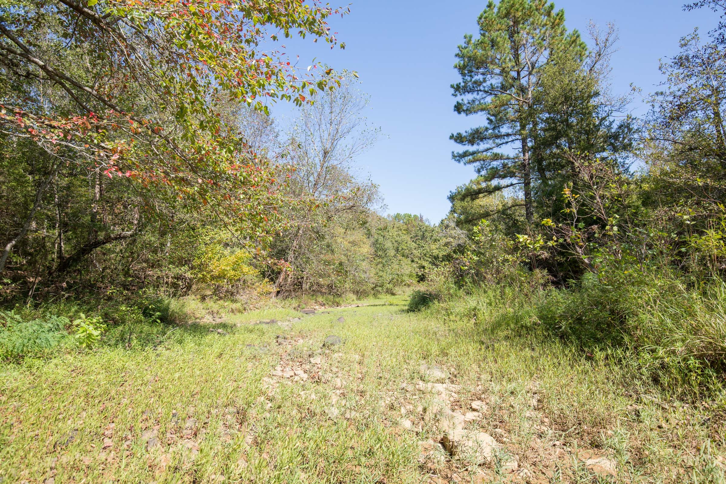Stone Bridge Phase I Tract 19 photo 15