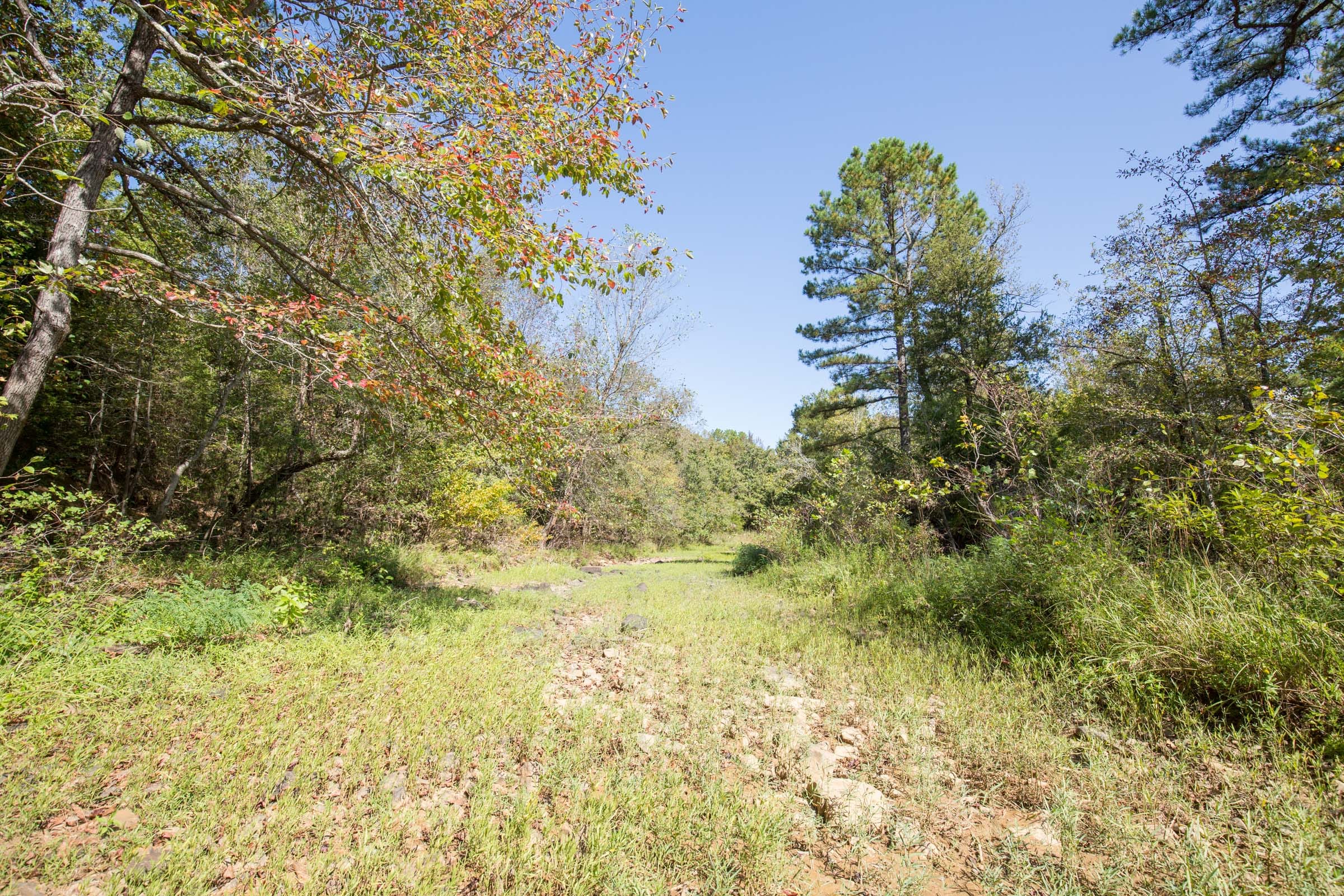 Stone Bridge Phase I Tract 19 photo 16