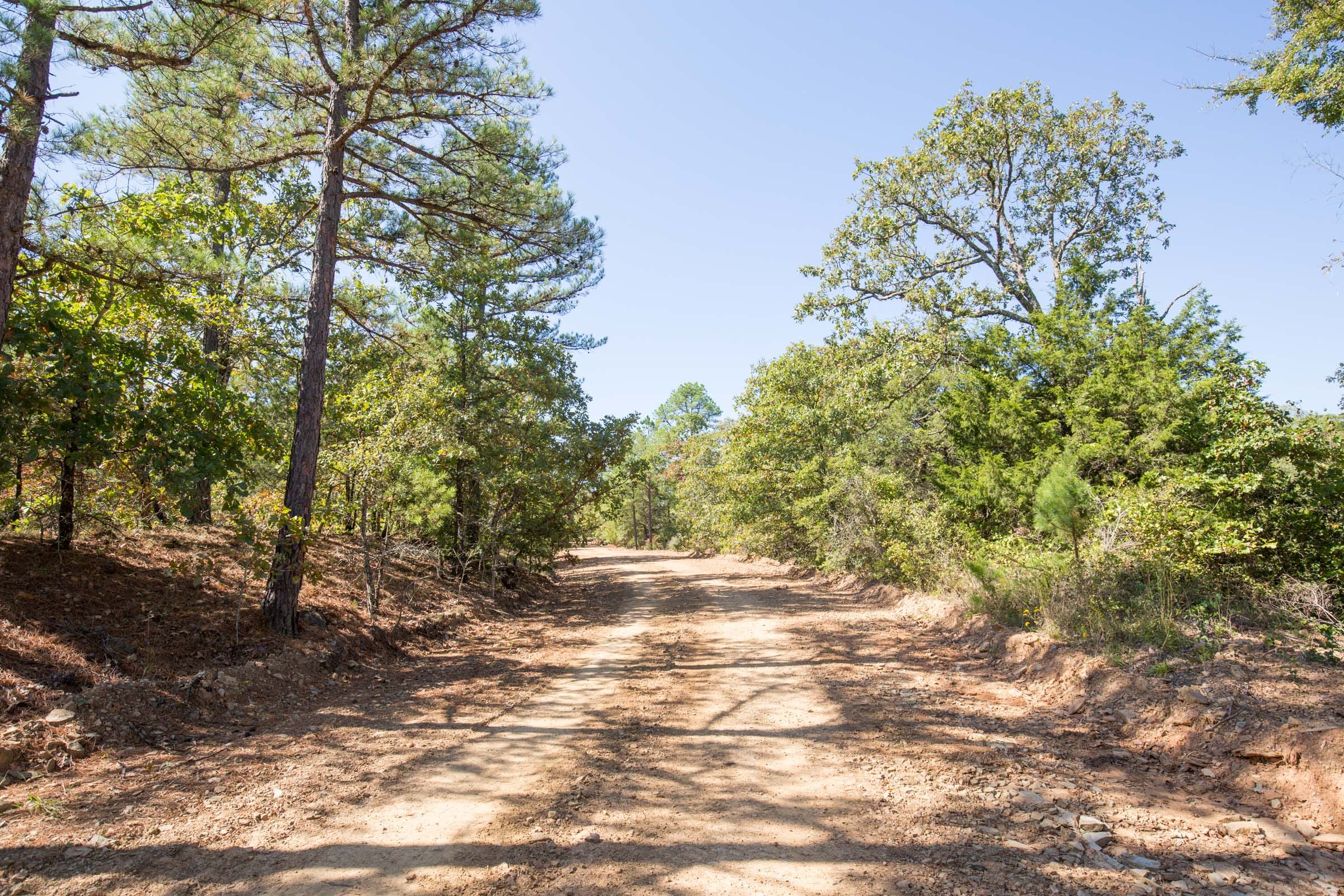 Stone Bridge Phase I Tract 19 photo 17