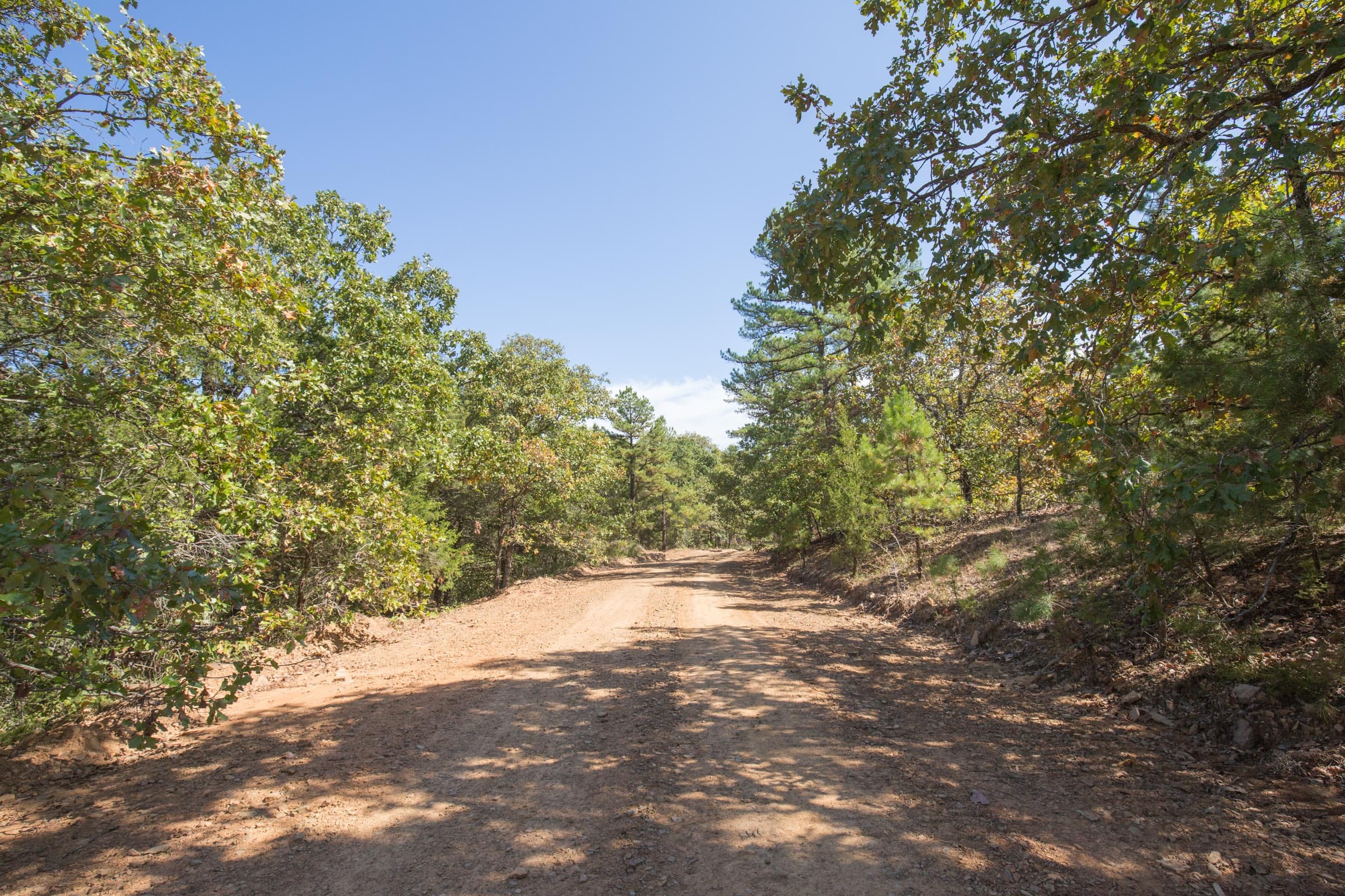 Stone Bridge Phase I Tract 19 photo 18