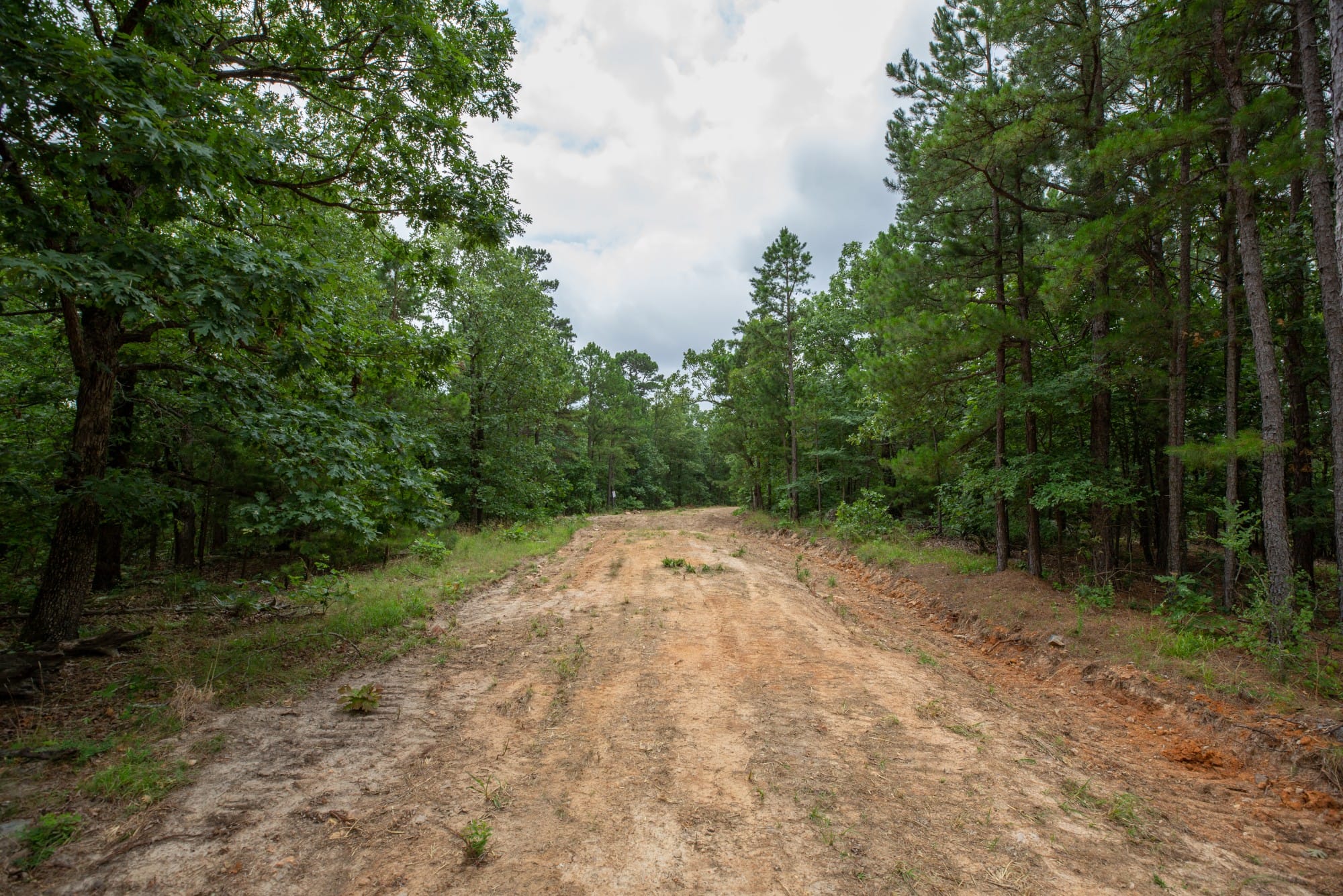 Eagle’s Nest Tract 80 photo 2