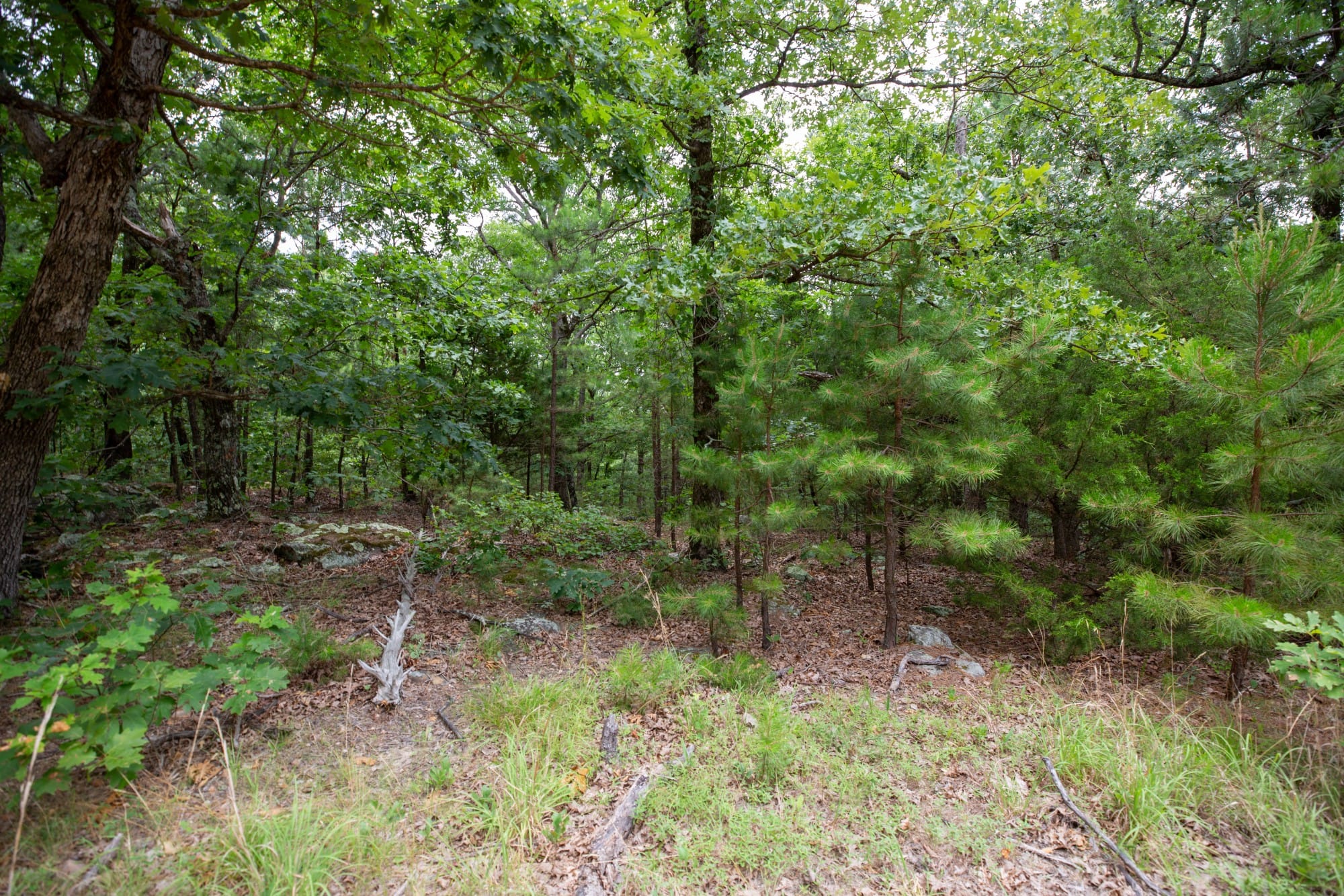 Eagle’s Nest Tract 80 photo 4