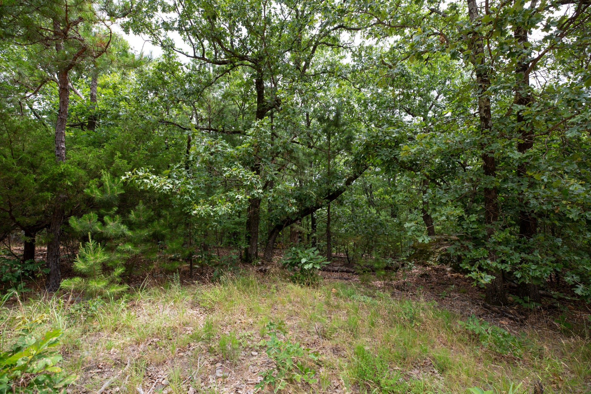 Eagle’s Nest Tract 80 photo 5