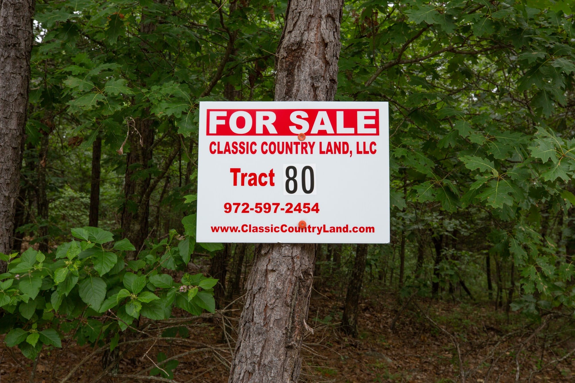 Eagle’s Nest Tract 80 photo 1