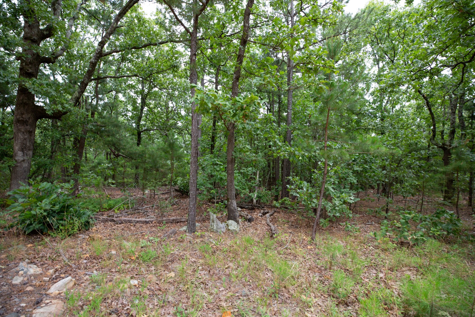 Eagle’s Nest Tract 80 photo 9