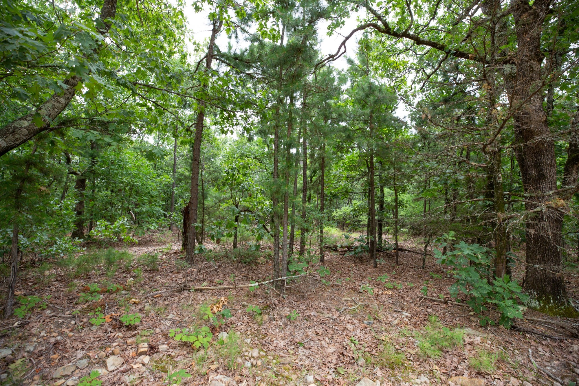 Eagle’s Nest Tract 80 photo 11