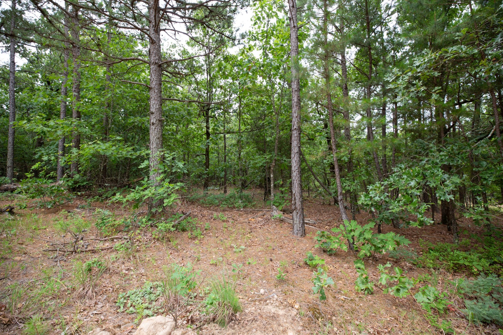Eagle’s Nest Tract 80 photo 12
