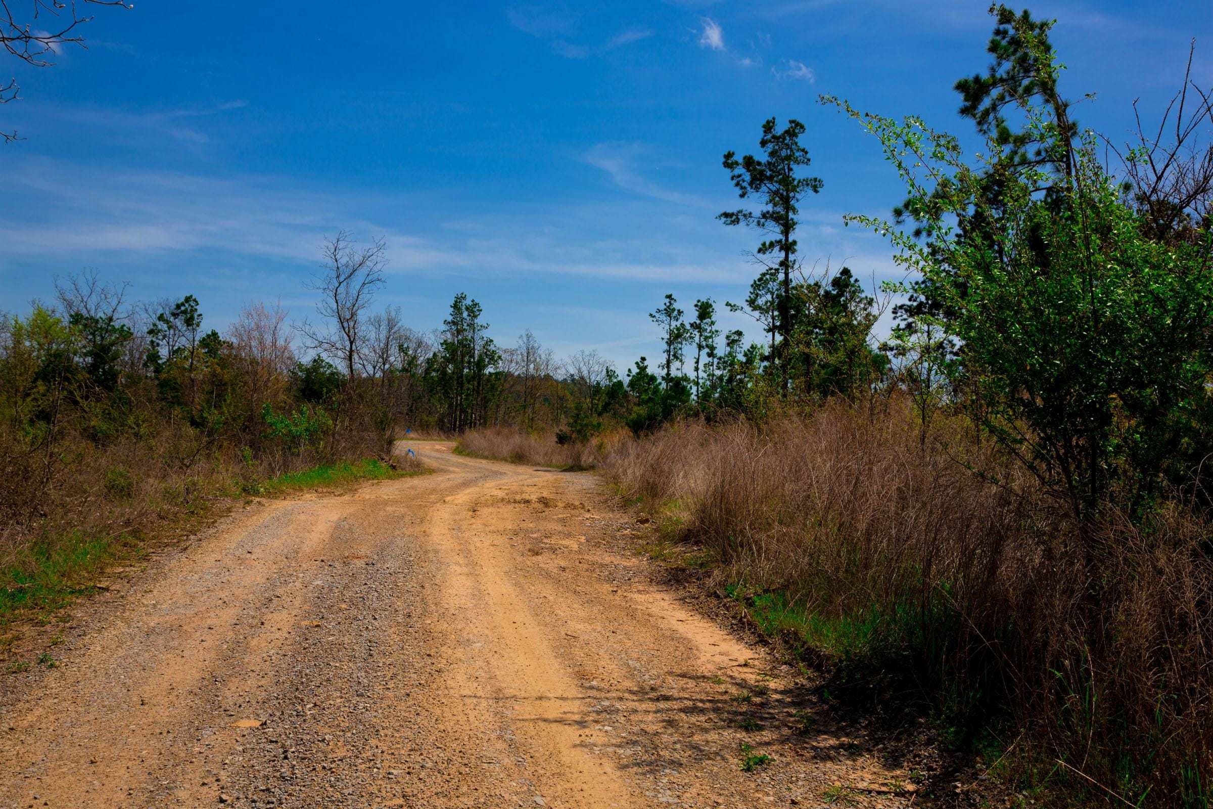 Stone Creek Phase II Tract 249 photo 8