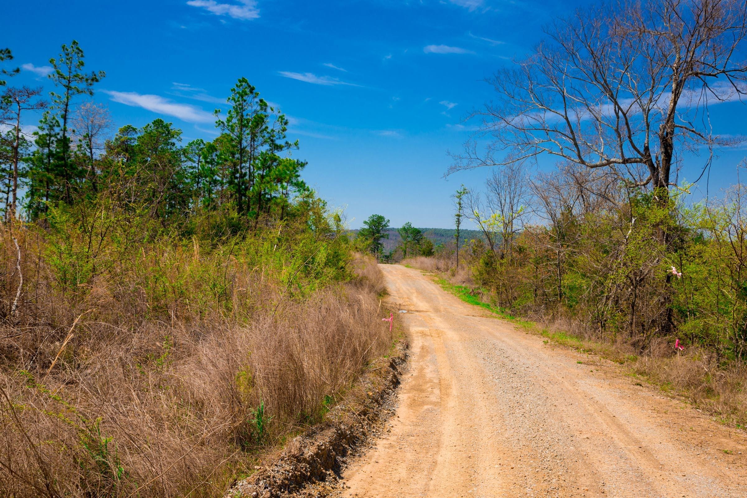 Stone Creek Phase II Tract 249 photo 2