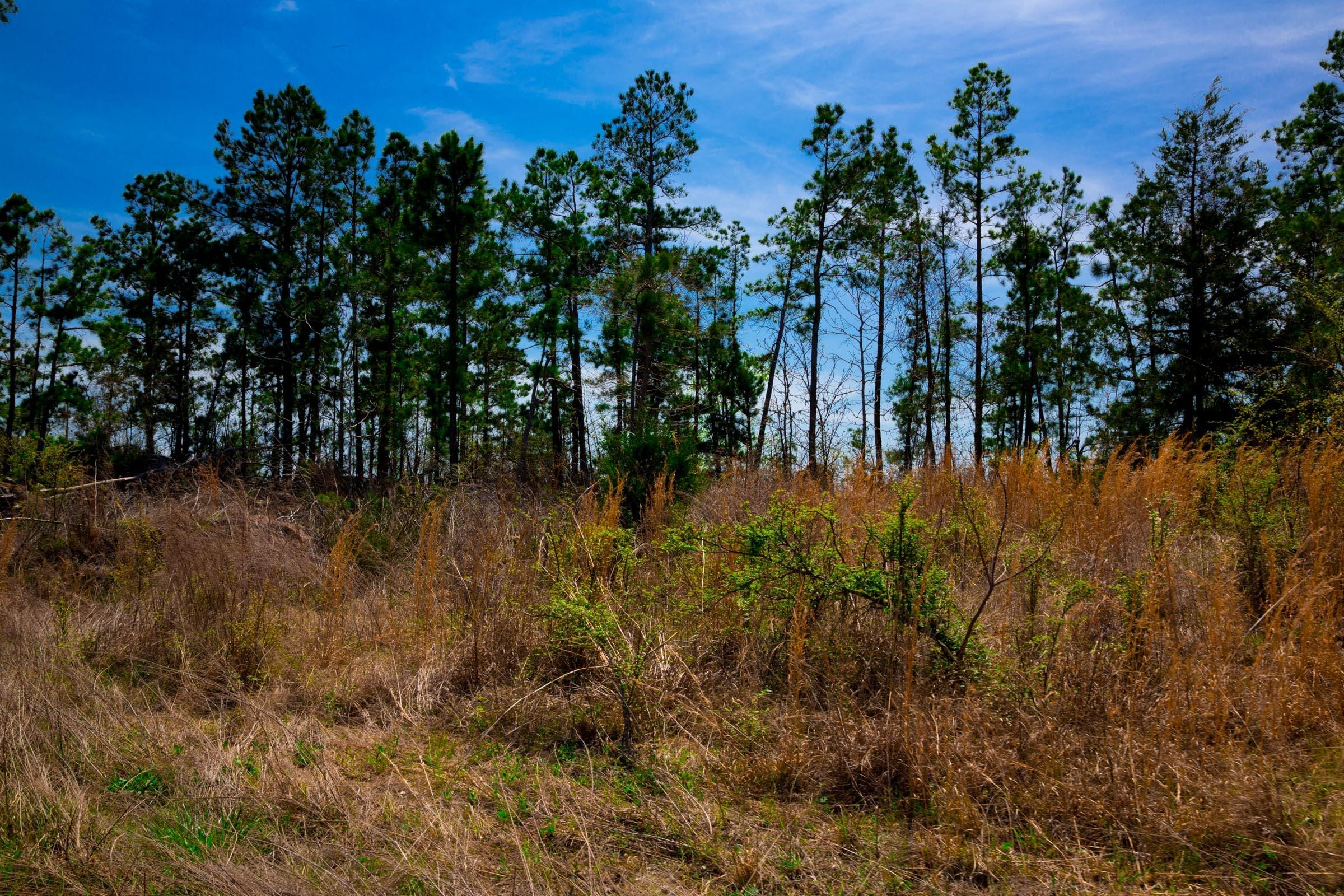 Stone Creek Phase II Tract 249 photo 4