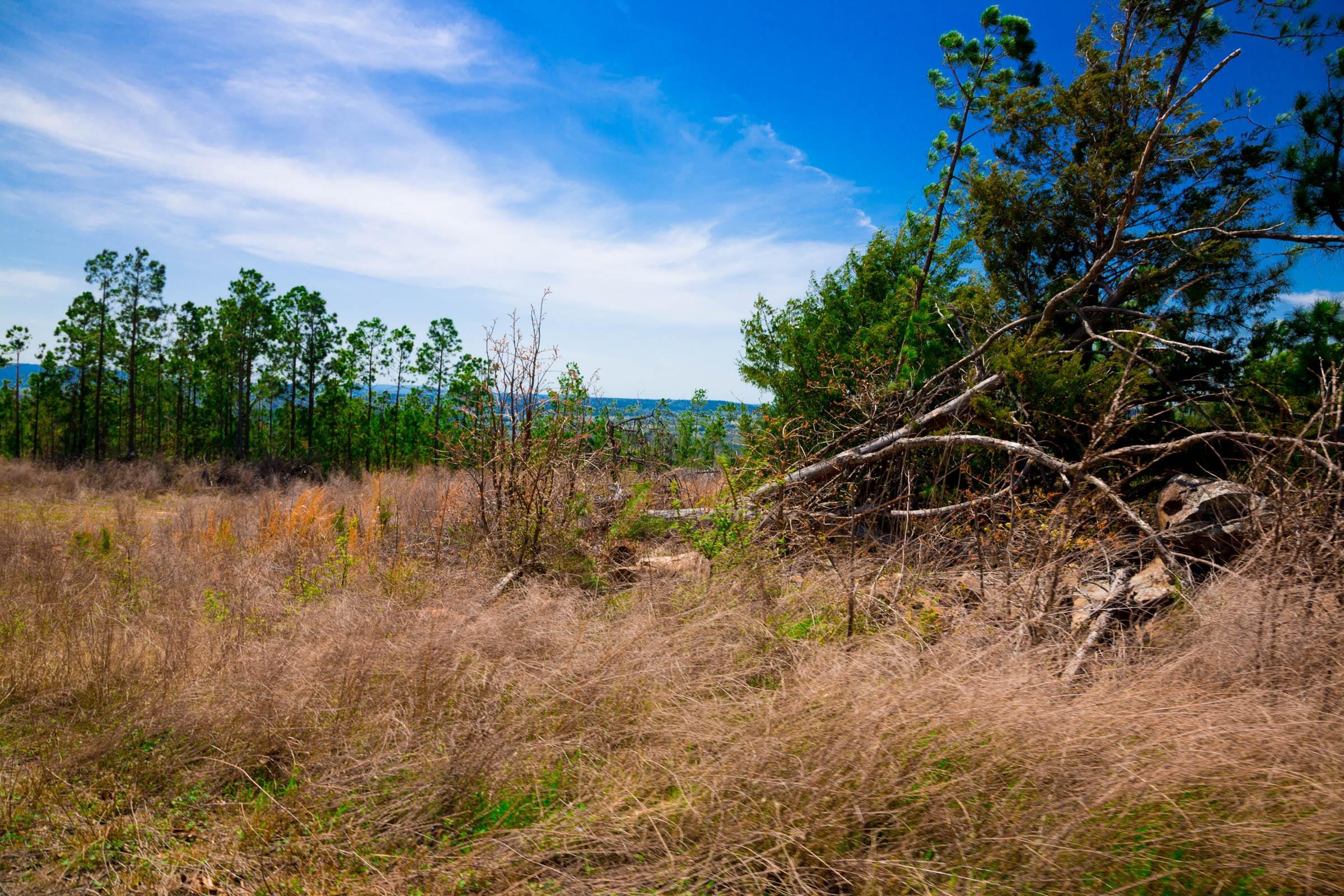 Stone Creek Phase II Tract 249 photo 6