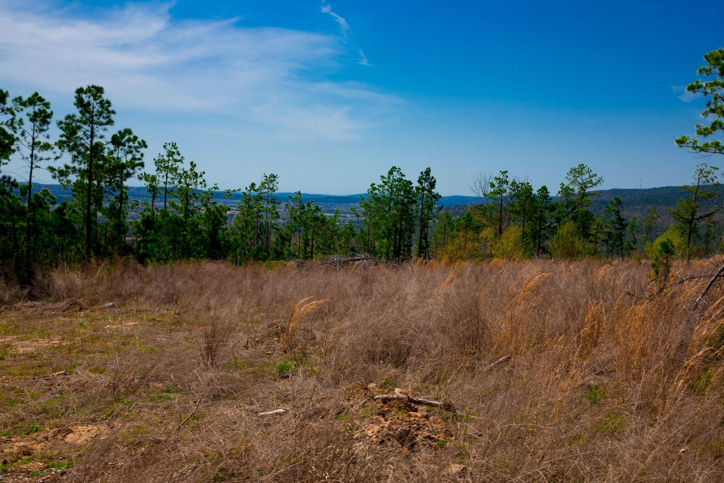 Stone Creek Phase II Tract 249 photo 7