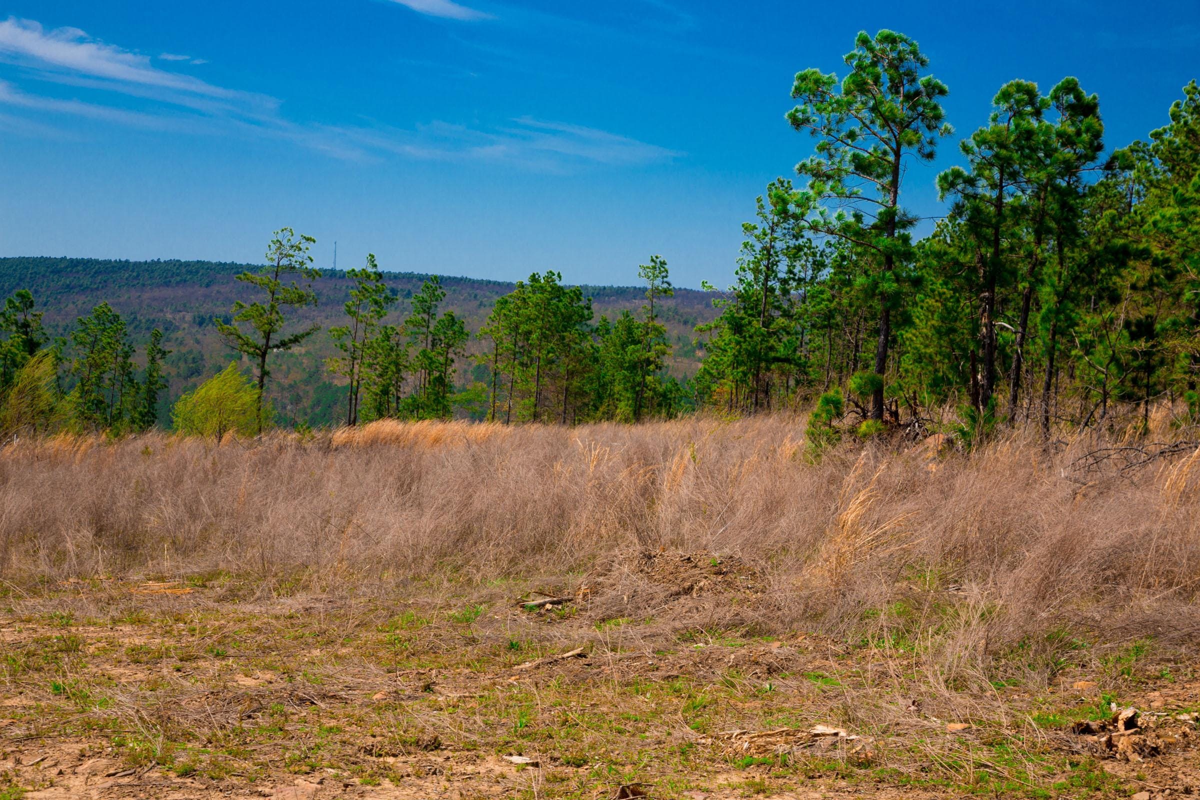 Stone Creek Phase II Tract 249 photo 9