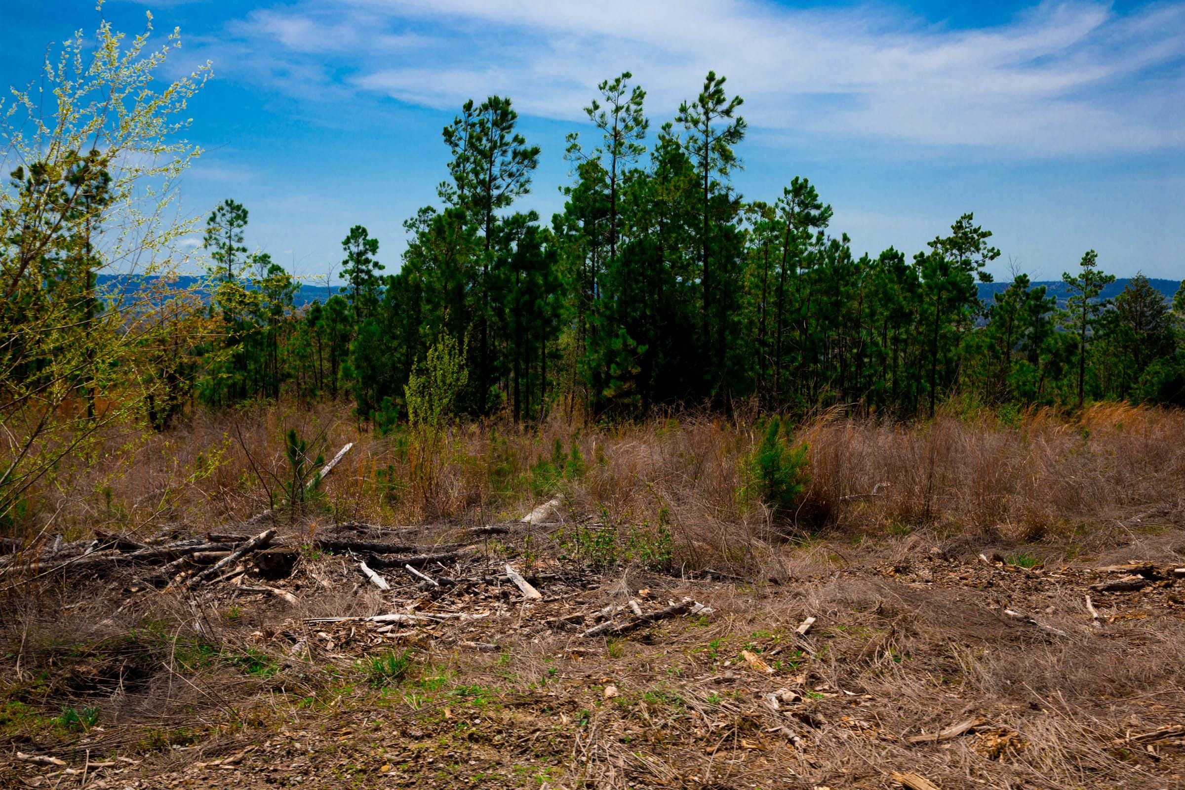 Stone Creek Phase II Tract 249 photo 10