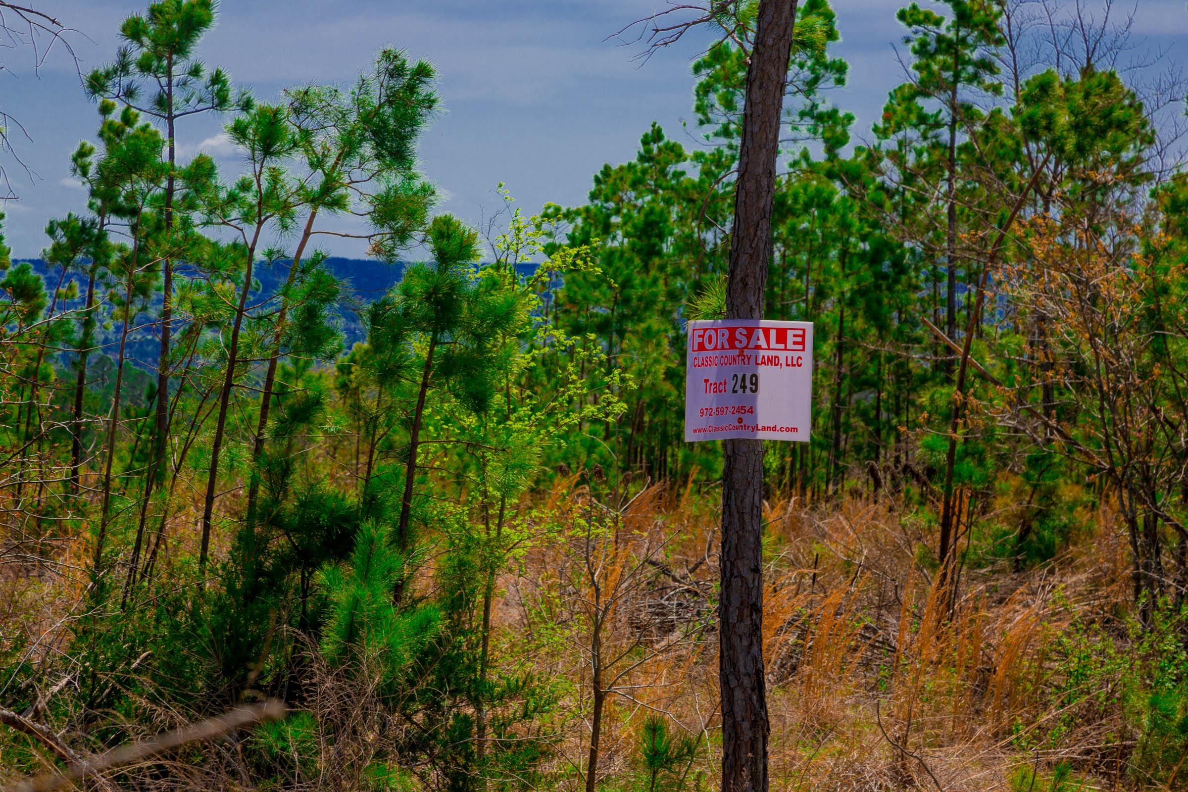 Stone Creek Phase II Tract 249 photo 1