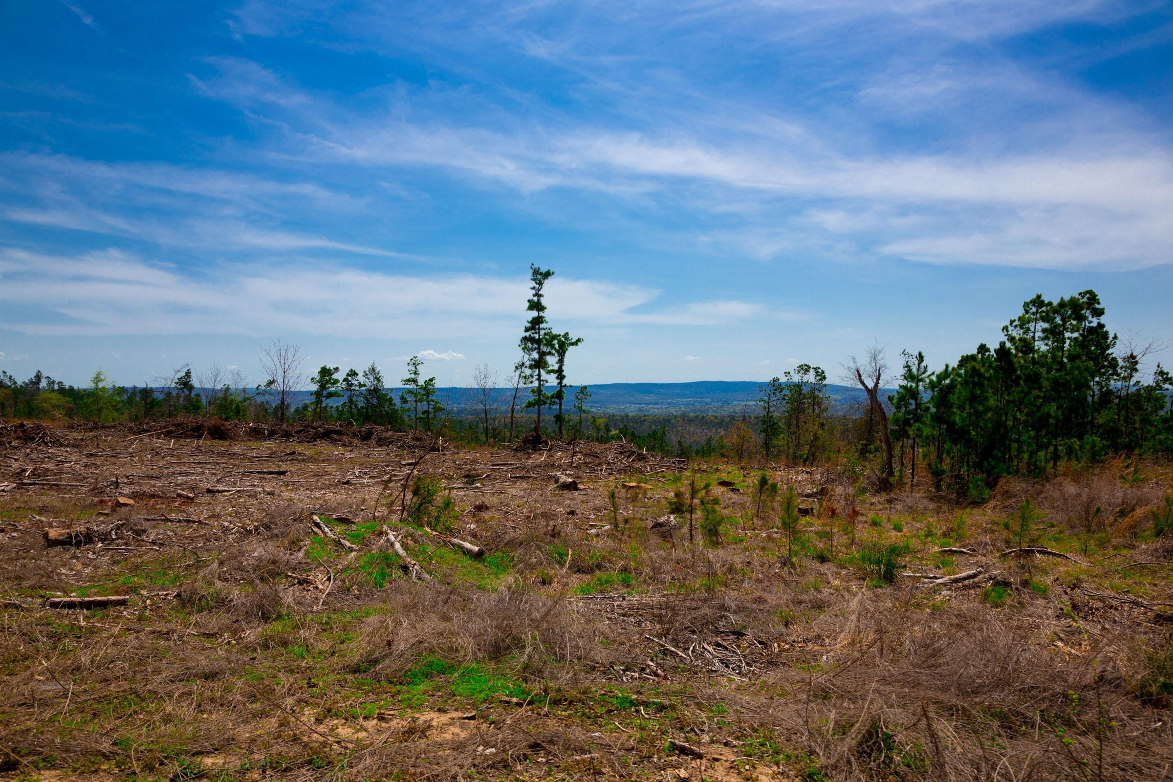Stone Creek Phase II Tract 249 photo 11