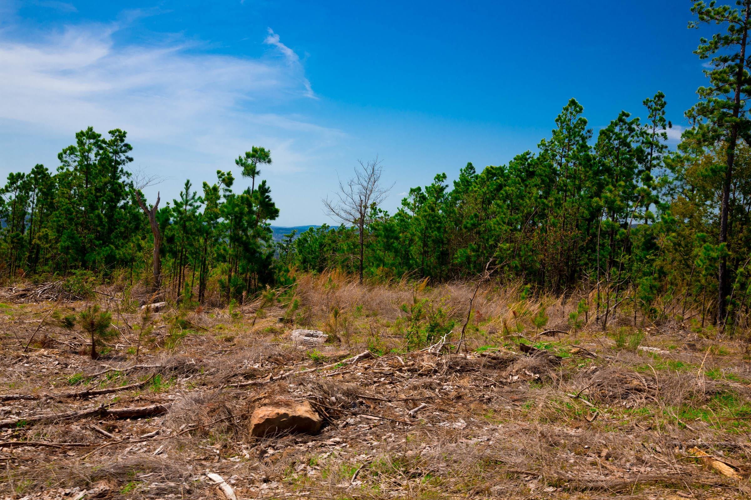 Stone Creek Phase II Tract 249 photo 12