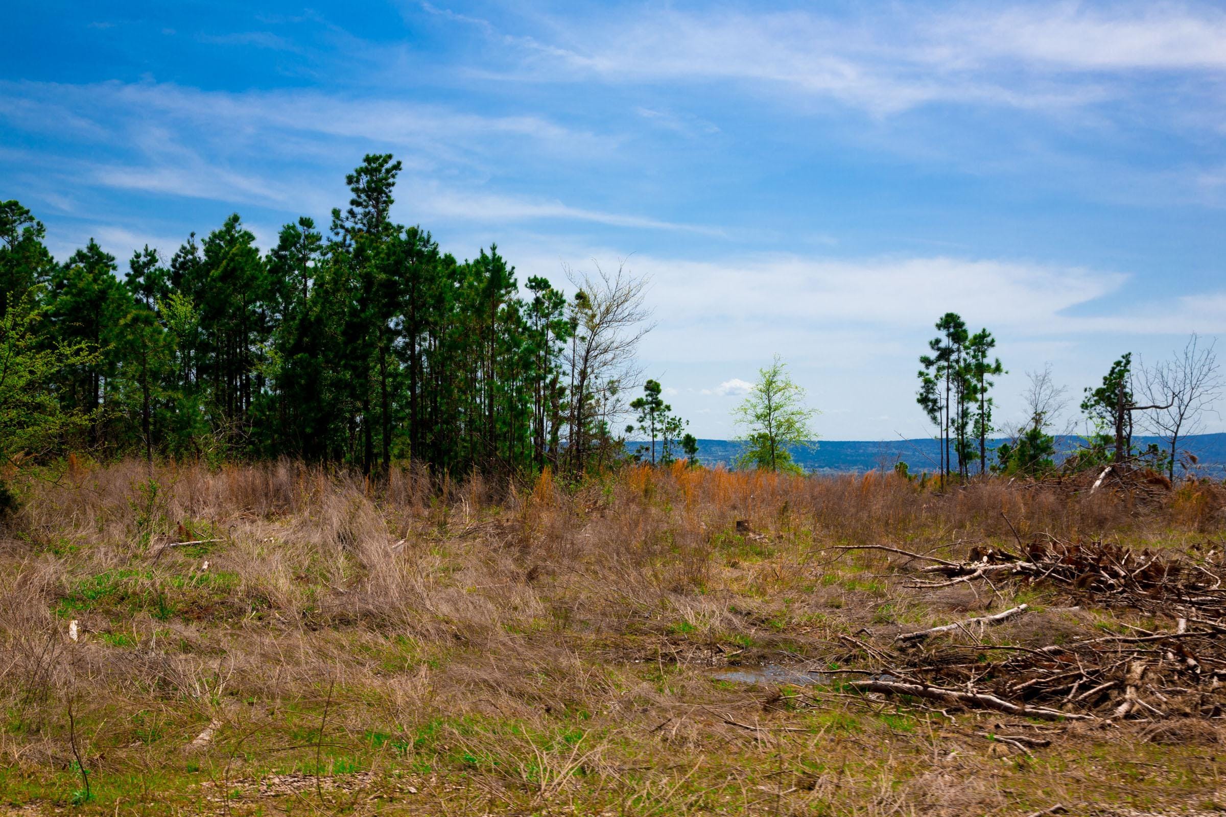 Stone Creek Phase II Tract 249 photo 13