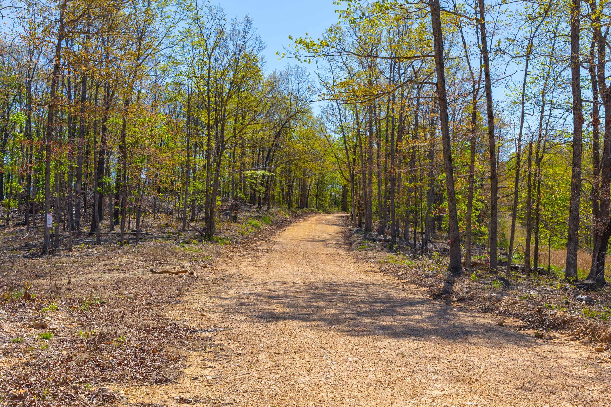 Lazybrook Tract 1 photo 3