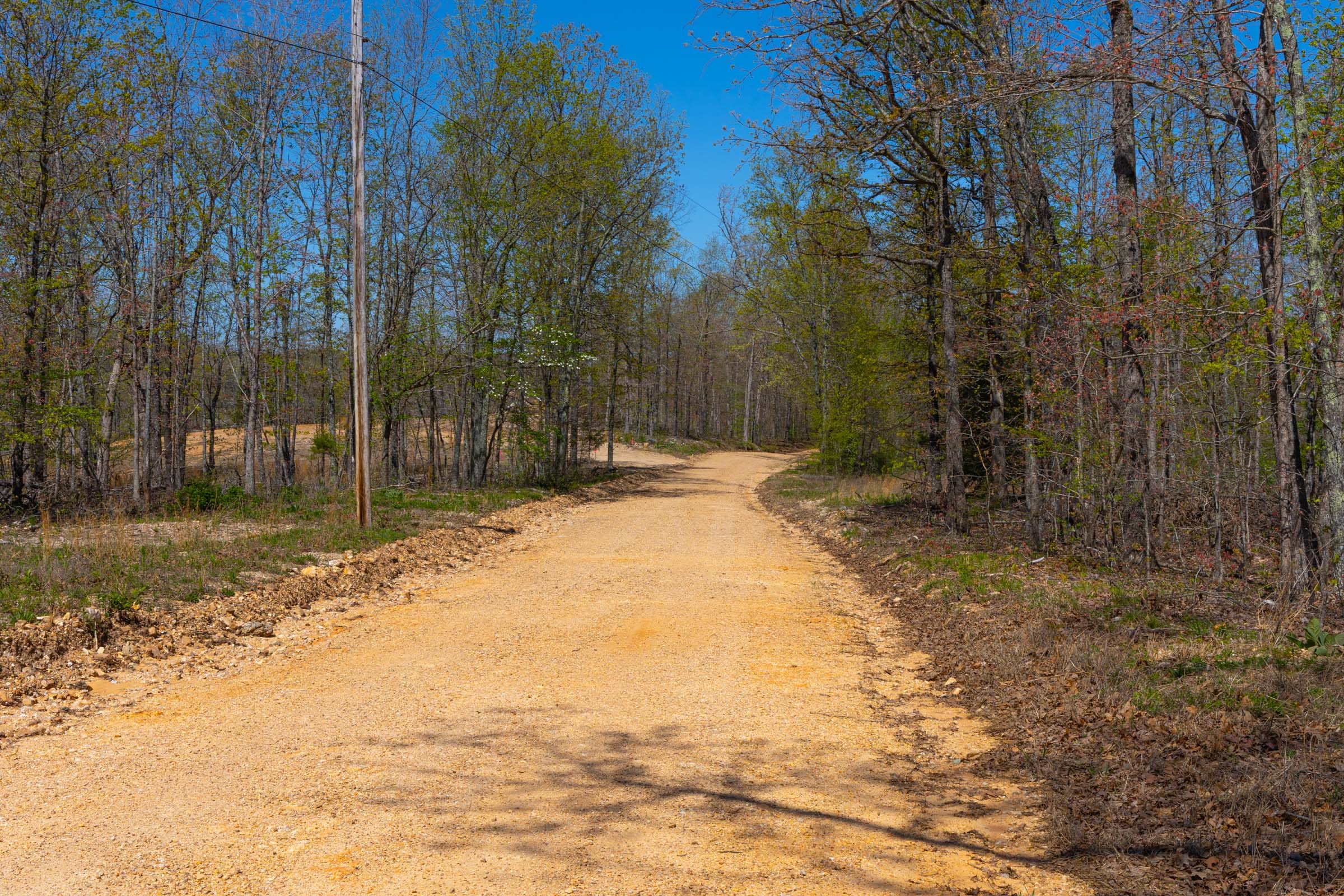 Lazybrook Tract 1 photo 1