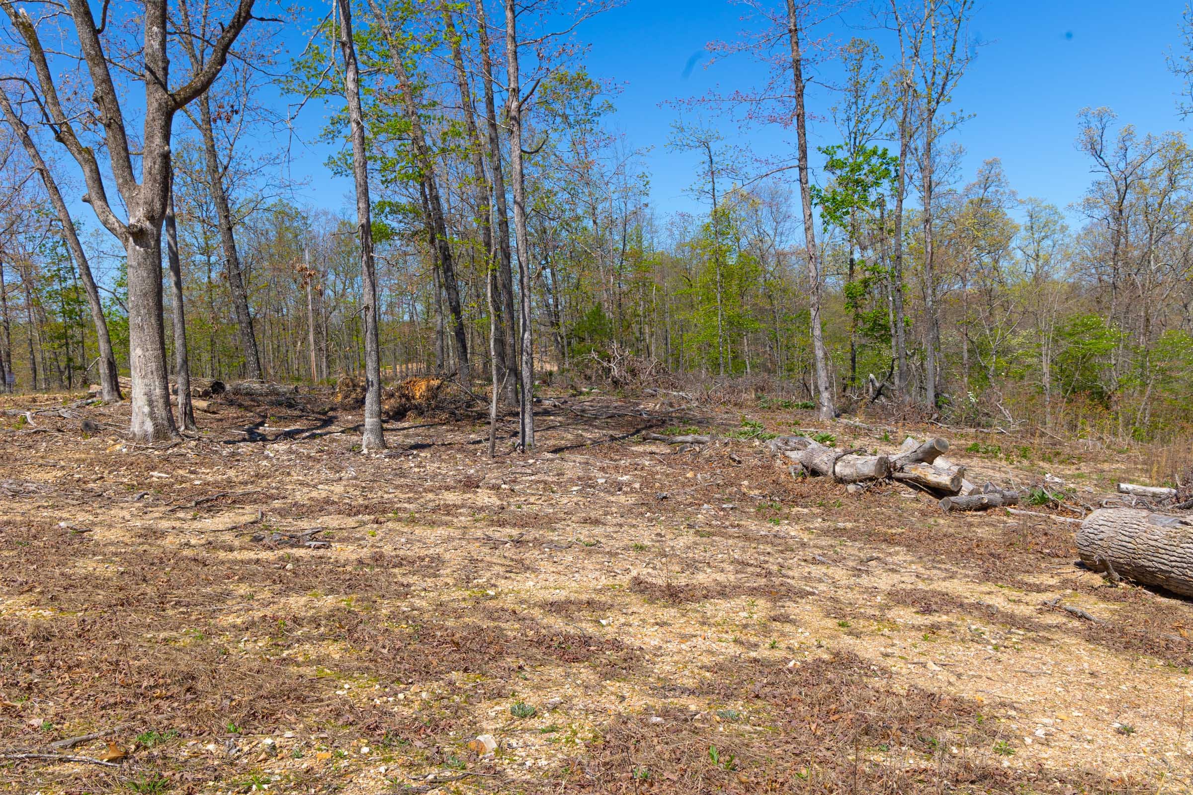Lazybrook Tract 1 photo 7