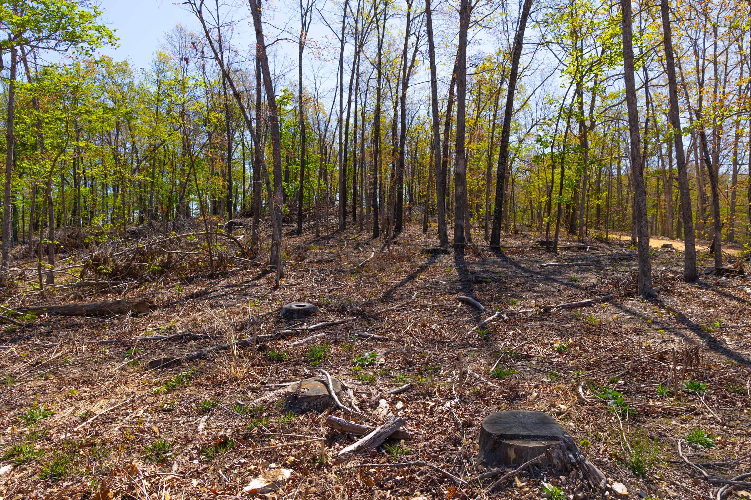 Lazybrook Tract 1 photo 2