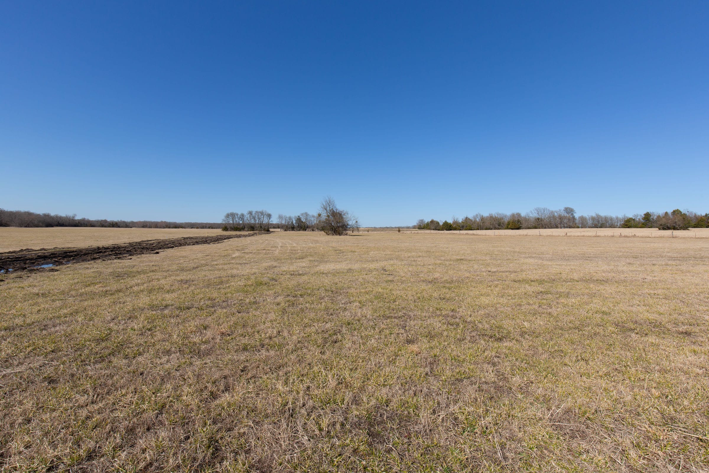 Wishing Star Ranch Tract 84 photo 3