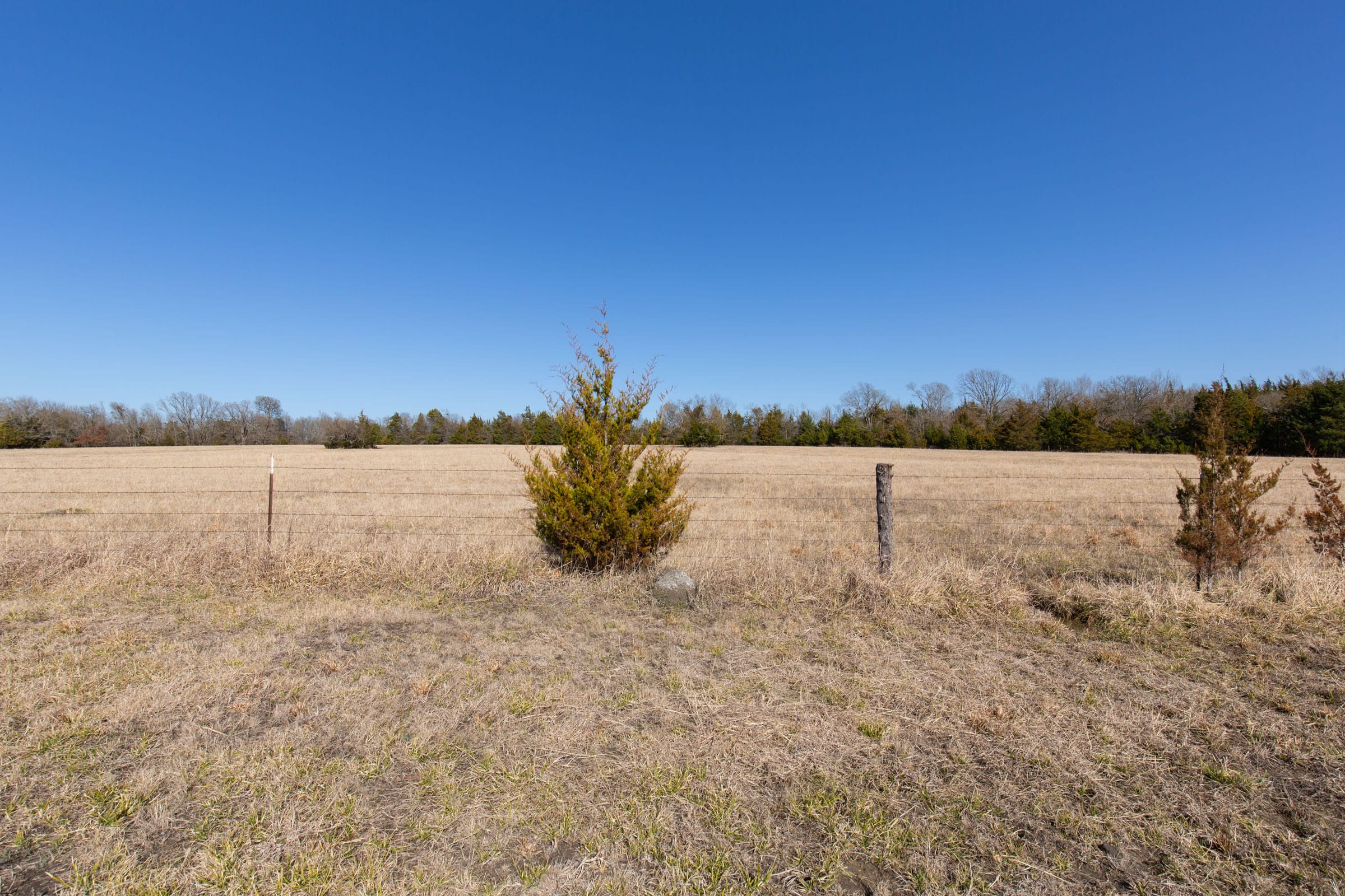 Wishing Star Ranch Tract 84 photo 4
