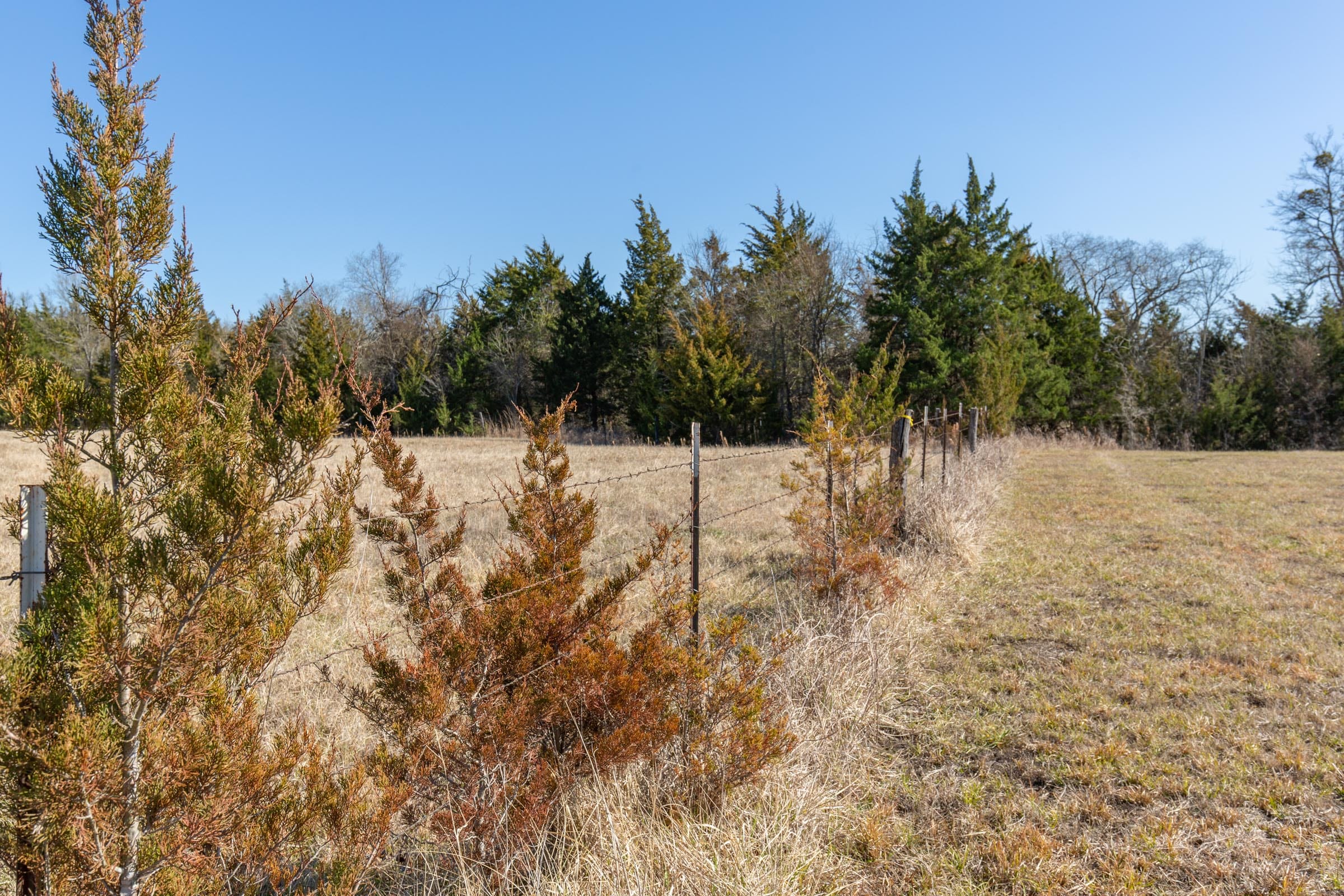 Wishing Star Ranch Tract 84 photo 6