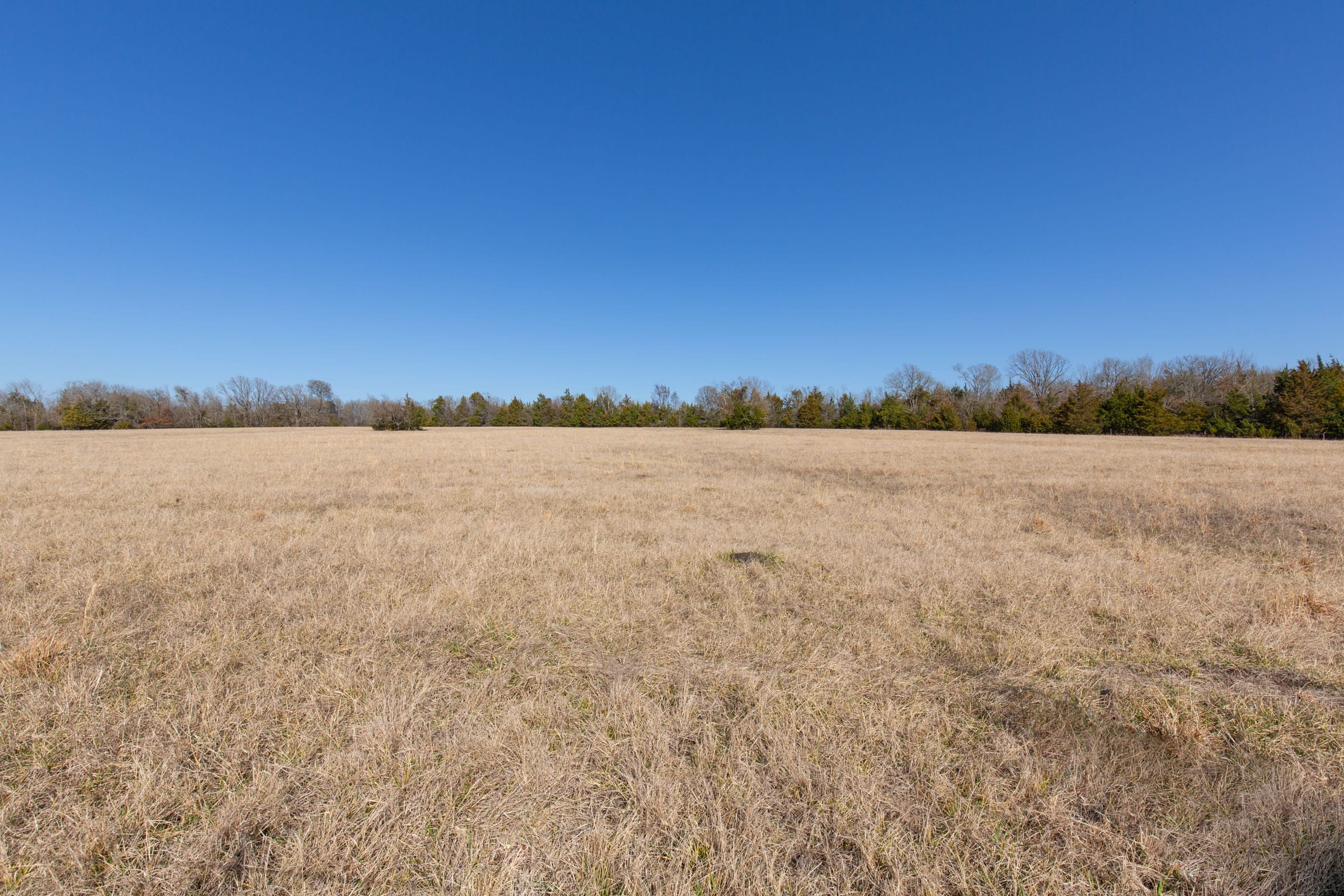 Wishing Star Ranch Tract 84 photo 9