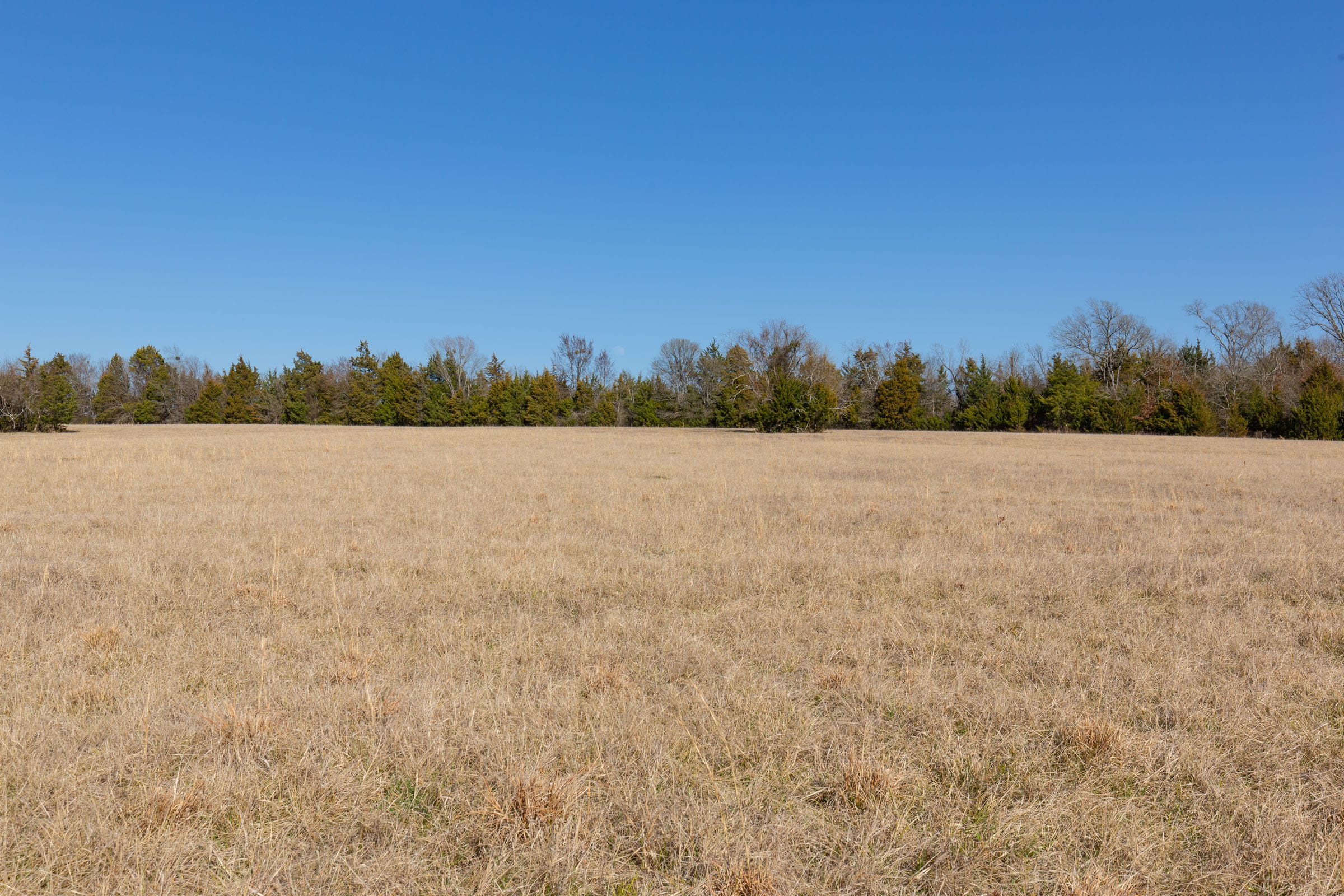 Wishing Star Ranch Tract 84 photo 12
