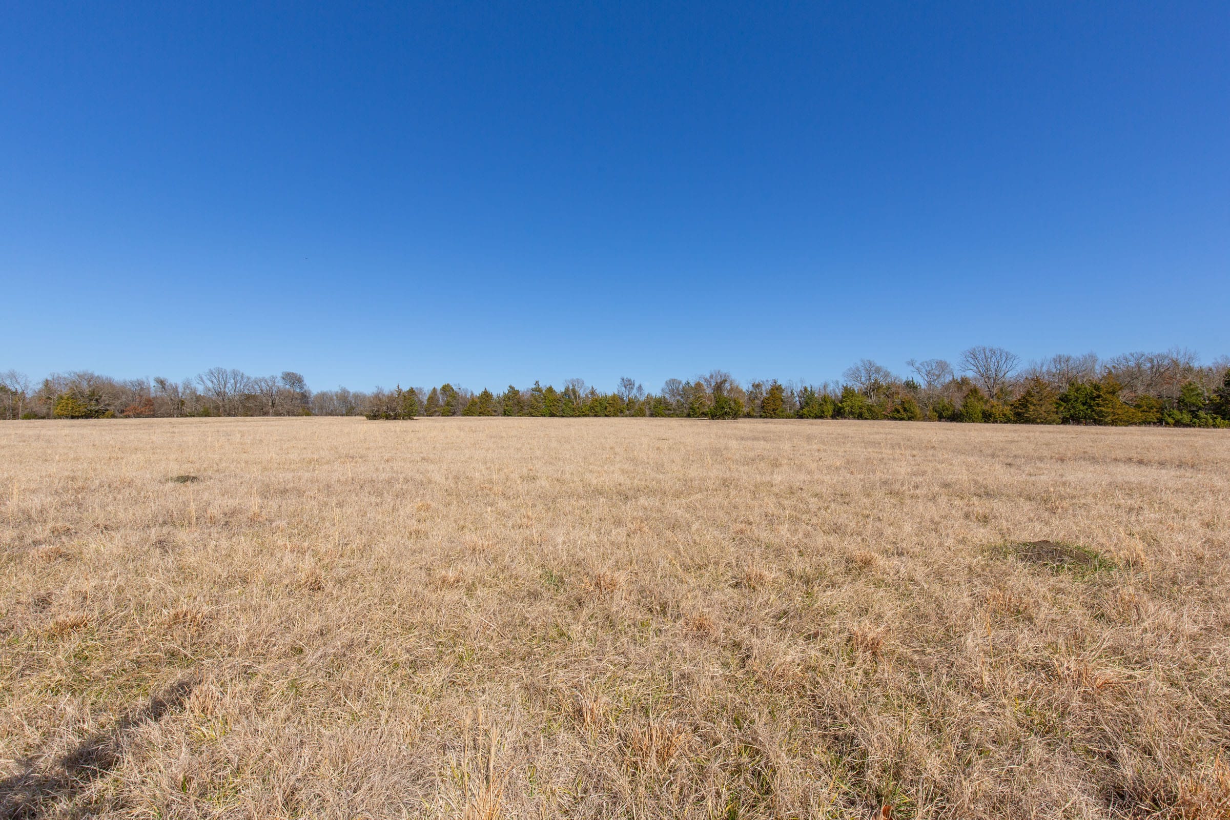 Wishing Star Ranch Tract 84 photo 13
