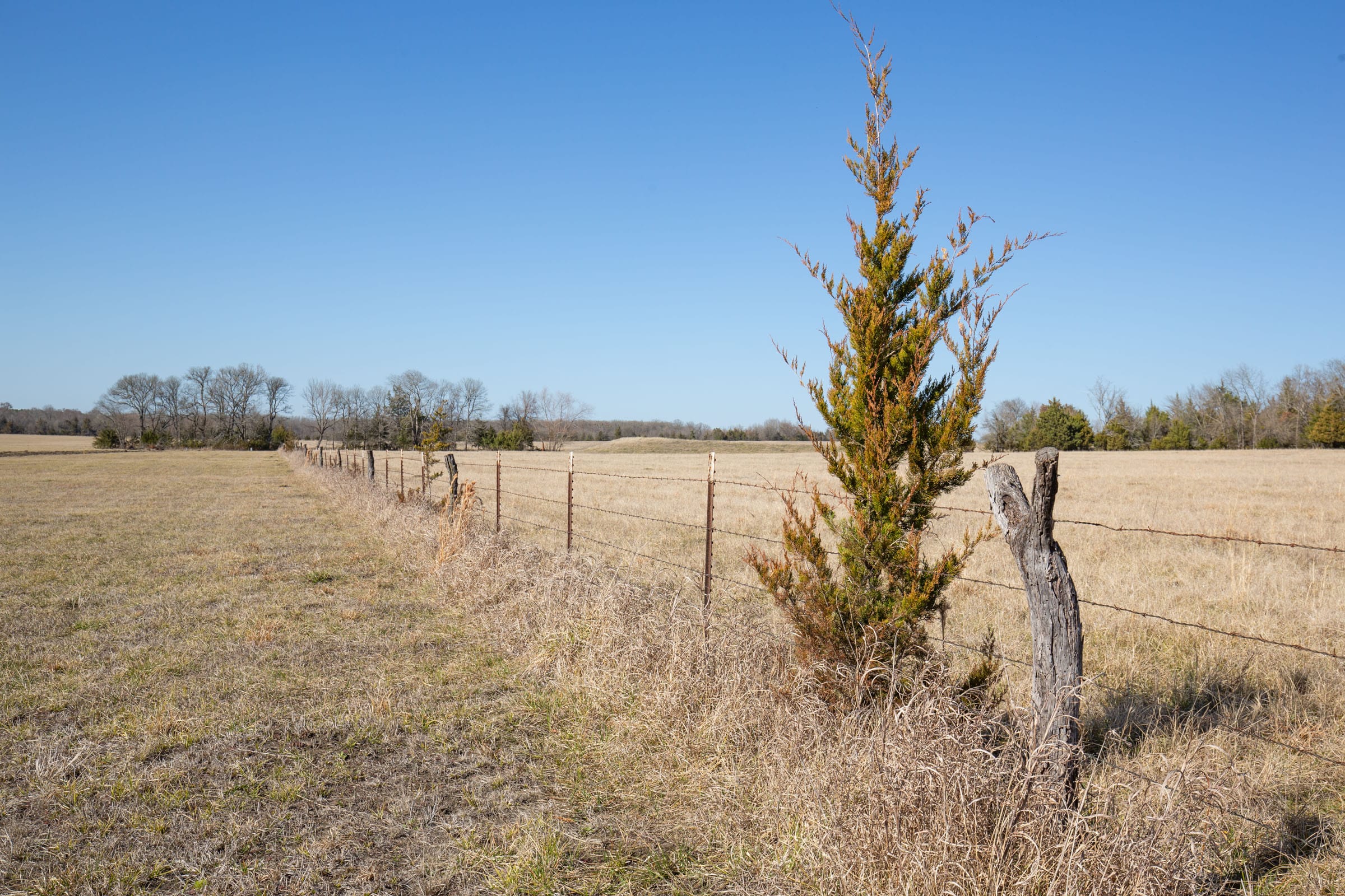 Wishing Star Ranch Tract 84 photo 15